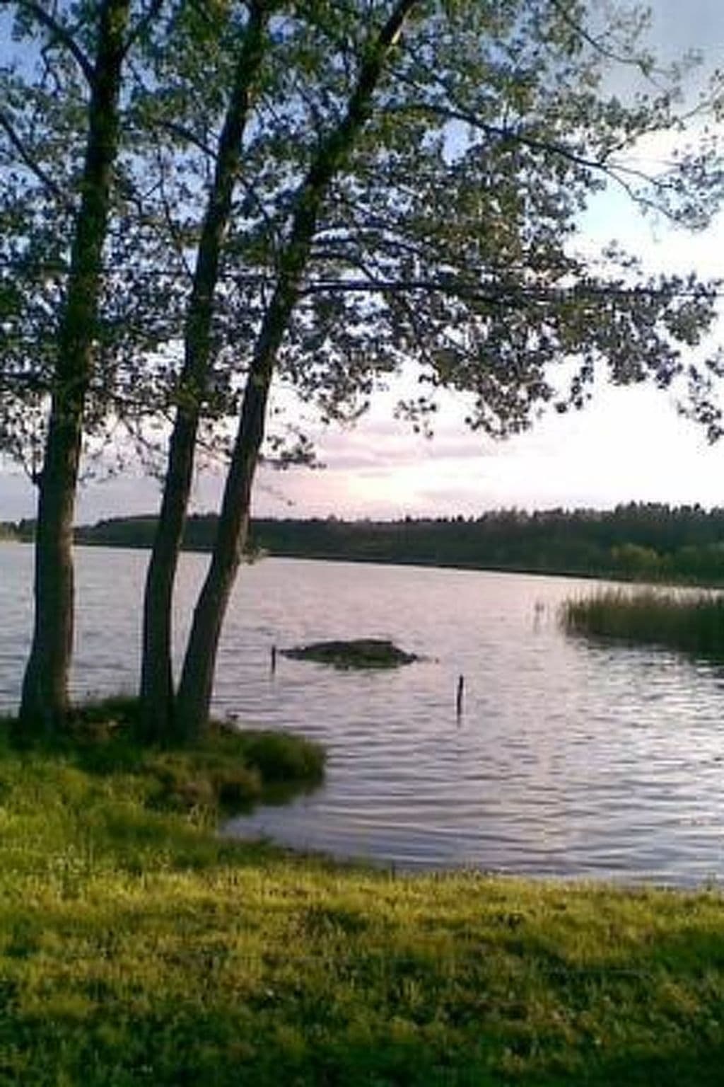 Gallery Image 14