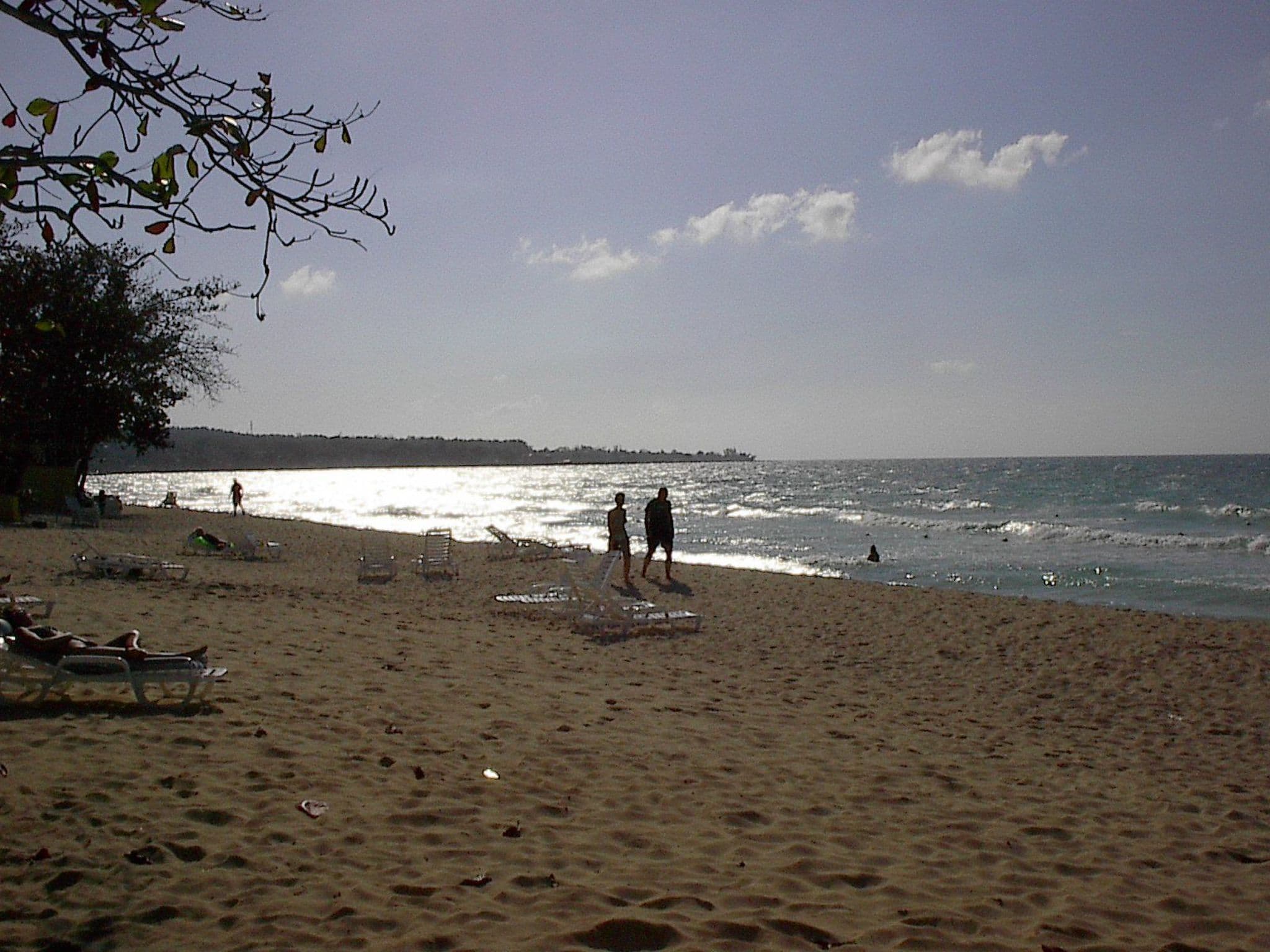 Gallery Image 20