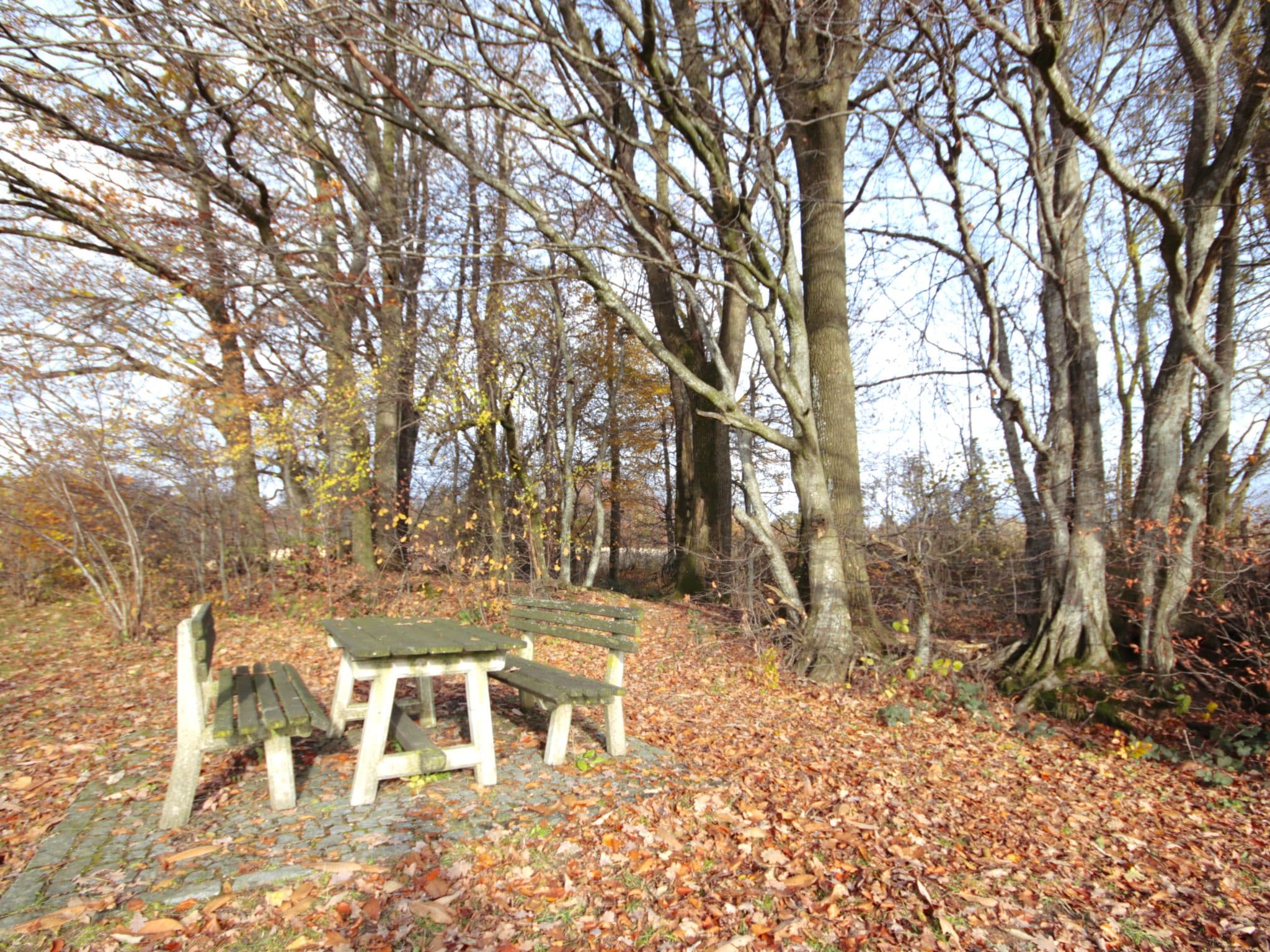 Place