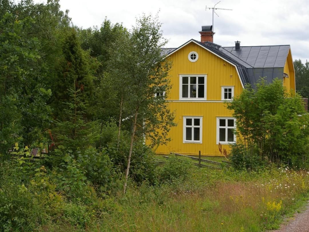 Large Image