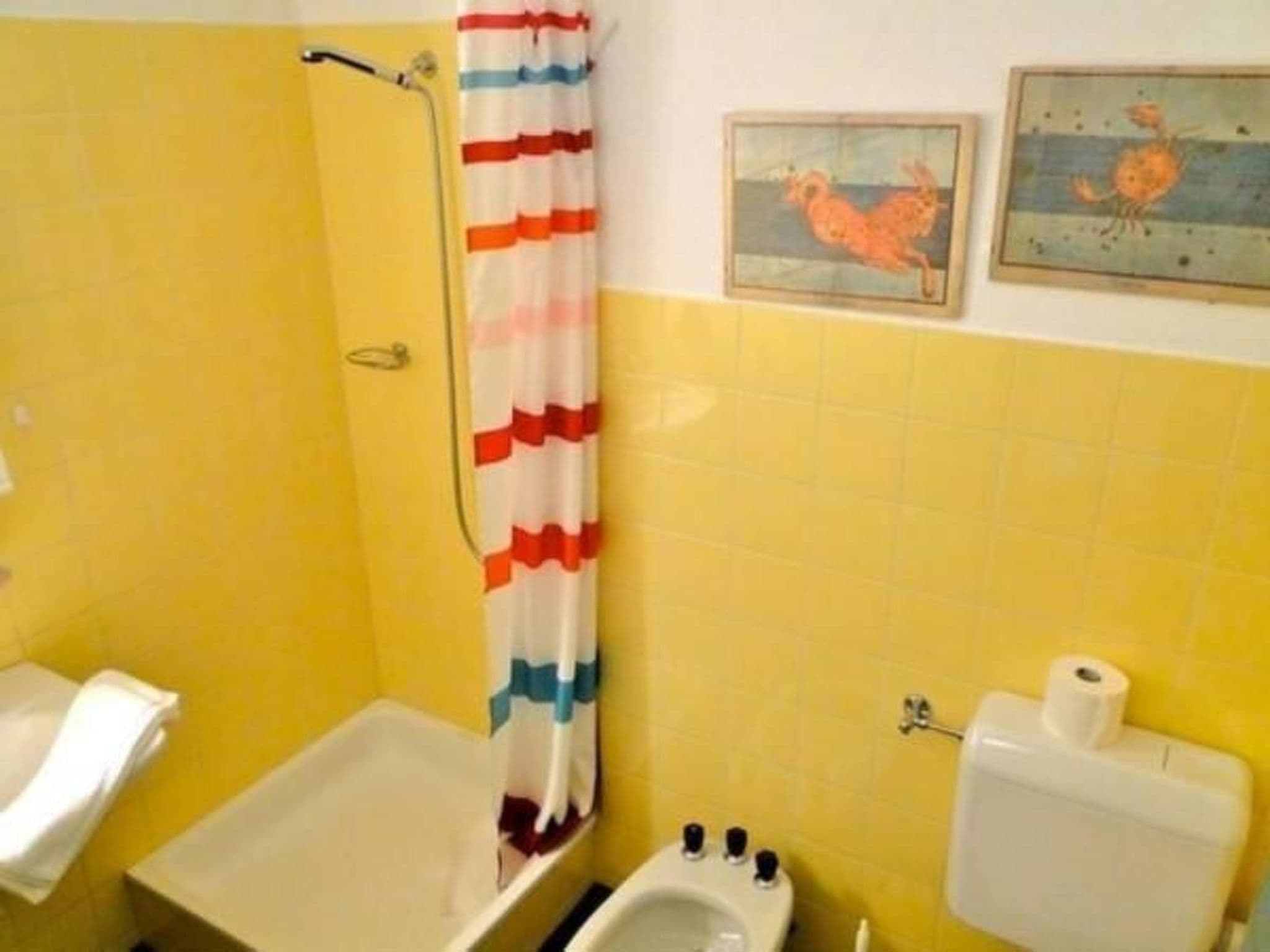 Gallery Image 8