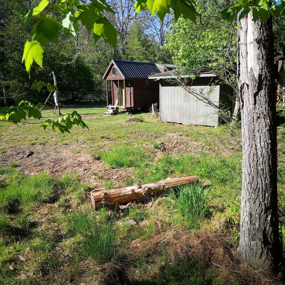 Gallery Image 11