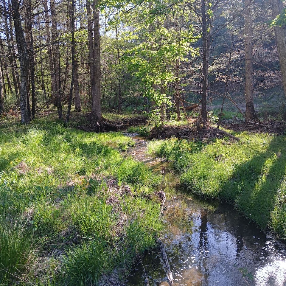 Gallery Image 12