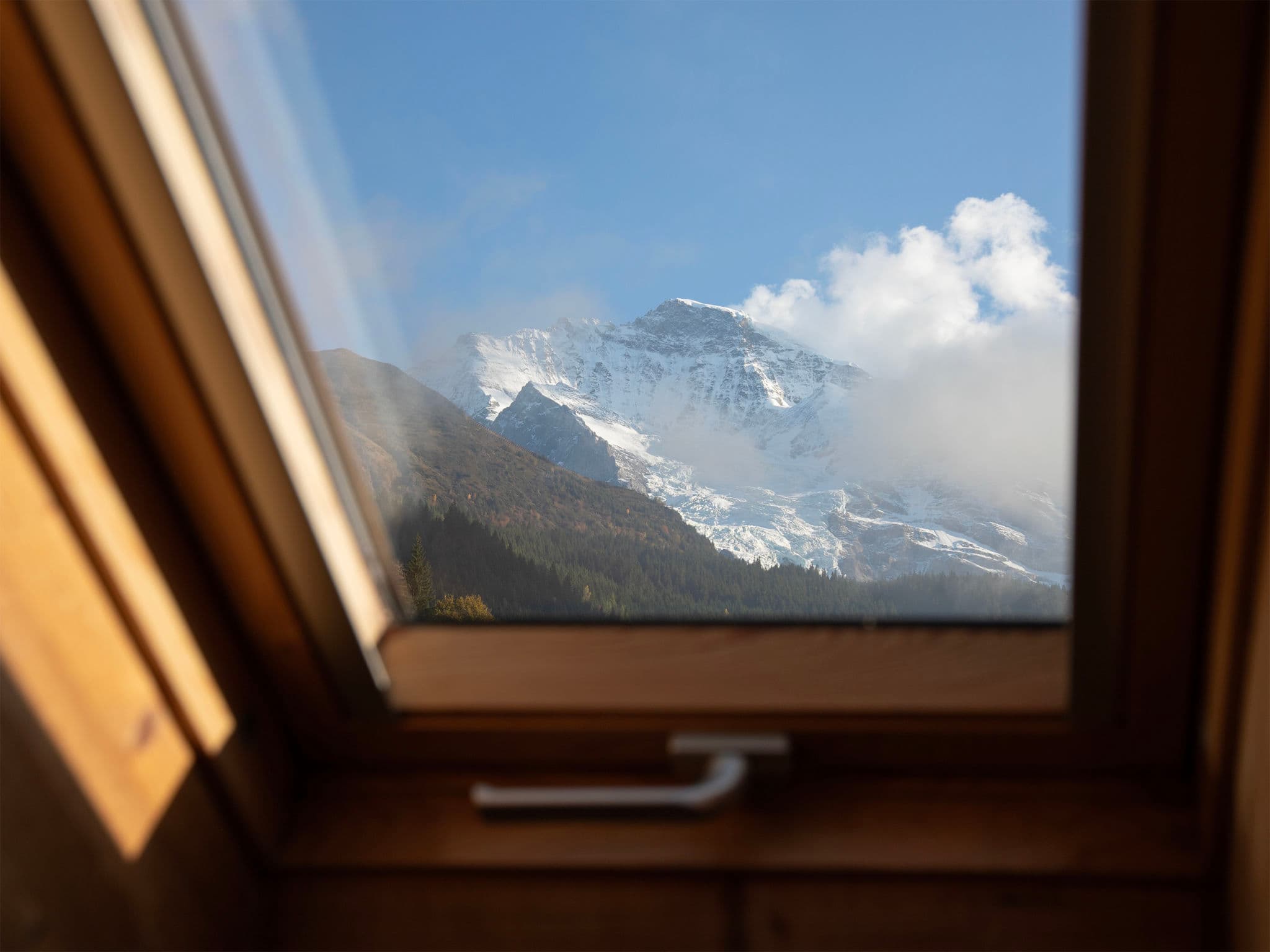 View