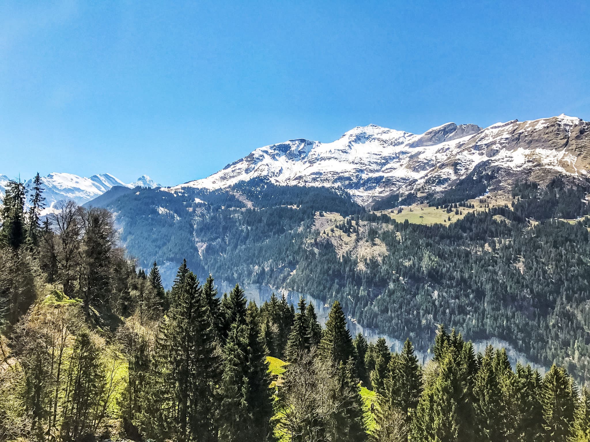 View