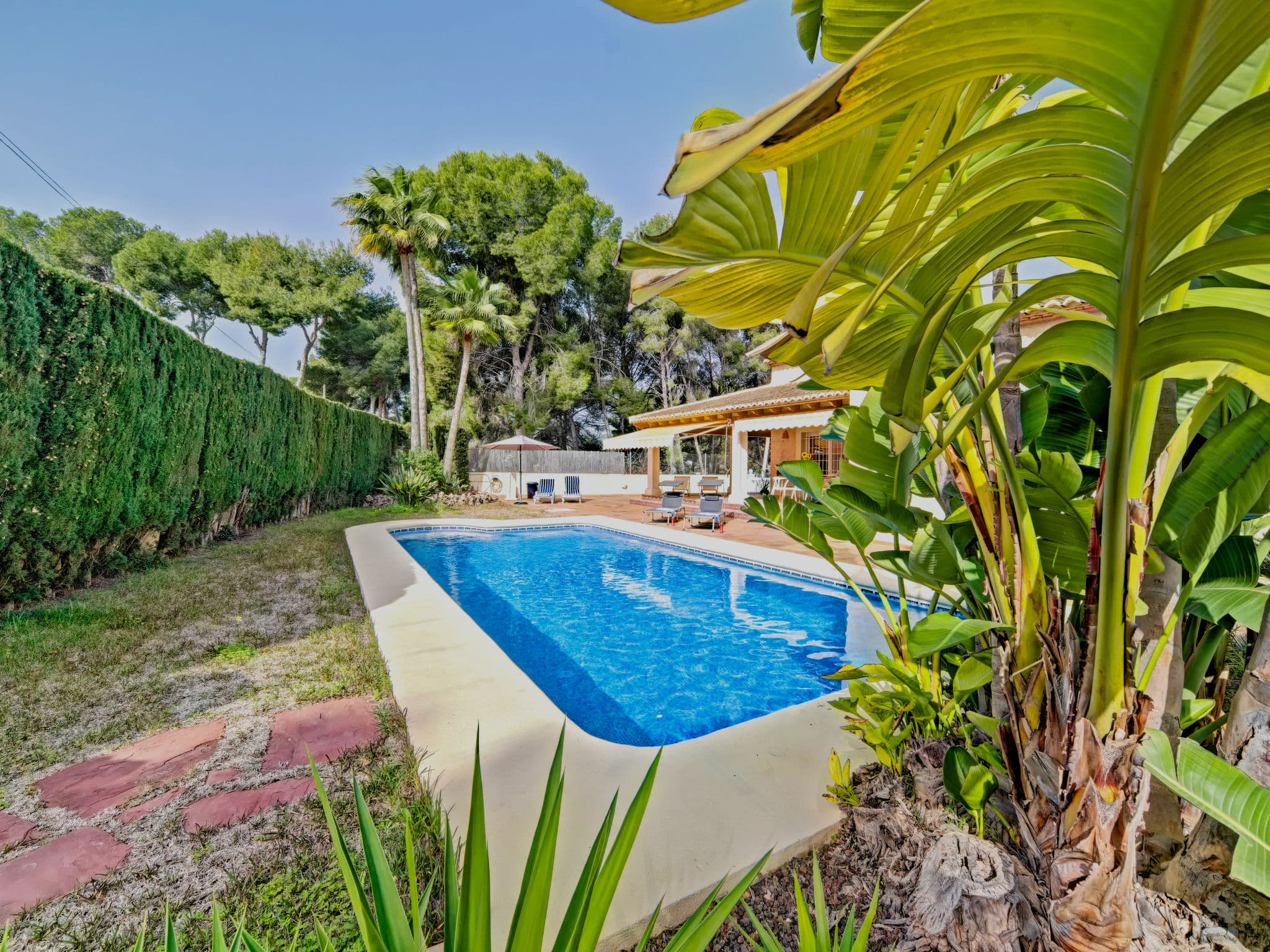 Pool Outdoor