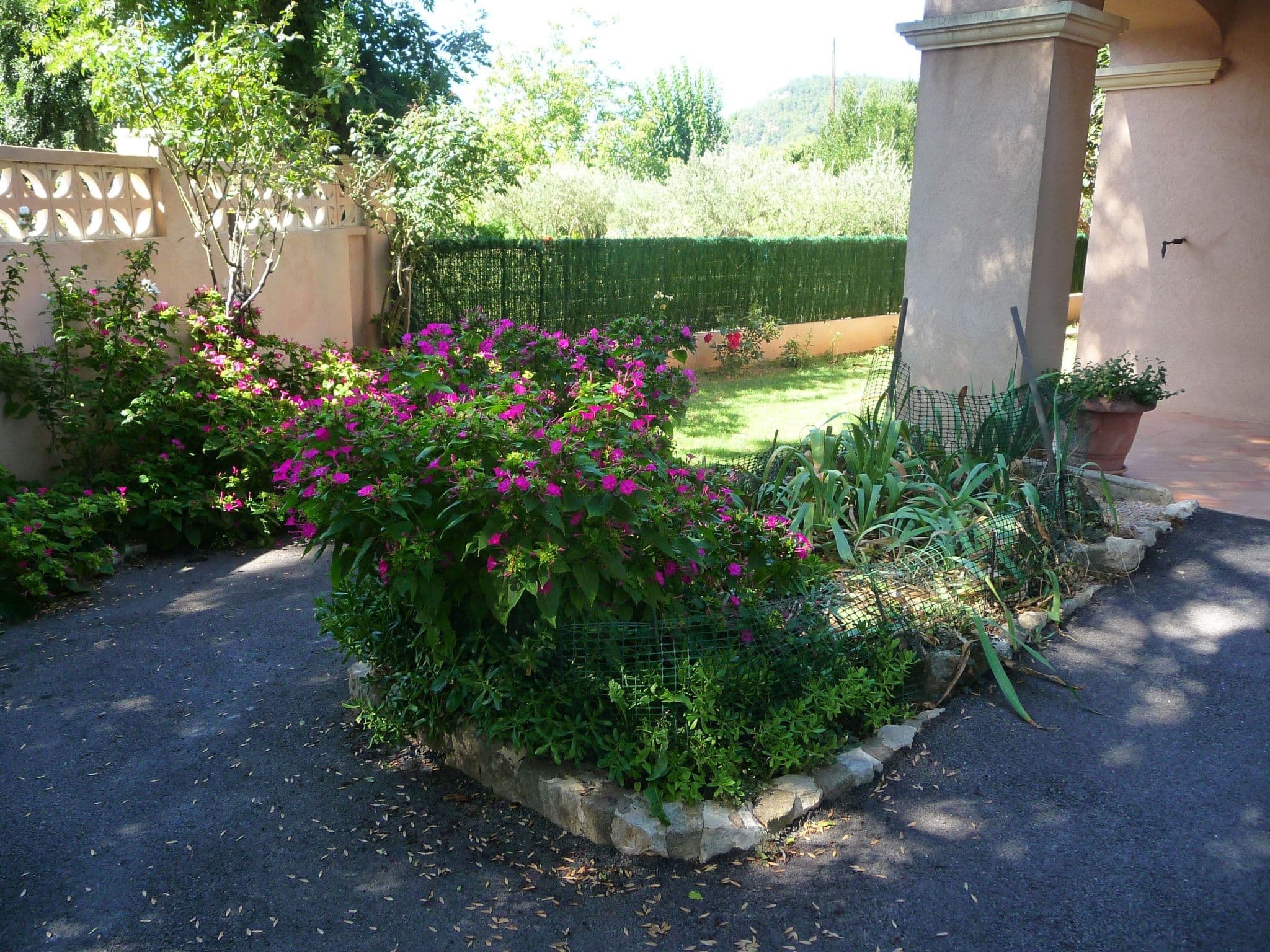 Gallery Image 10