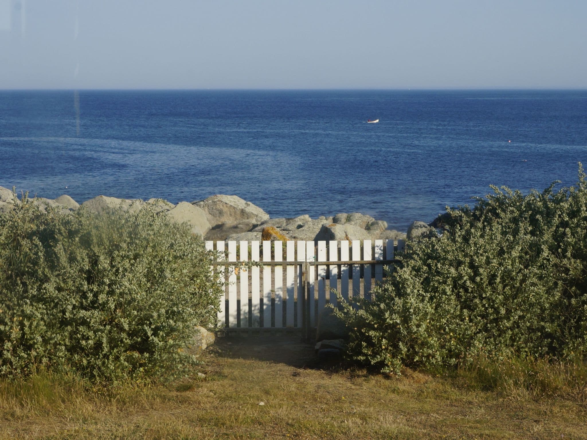 Gallery Image 25