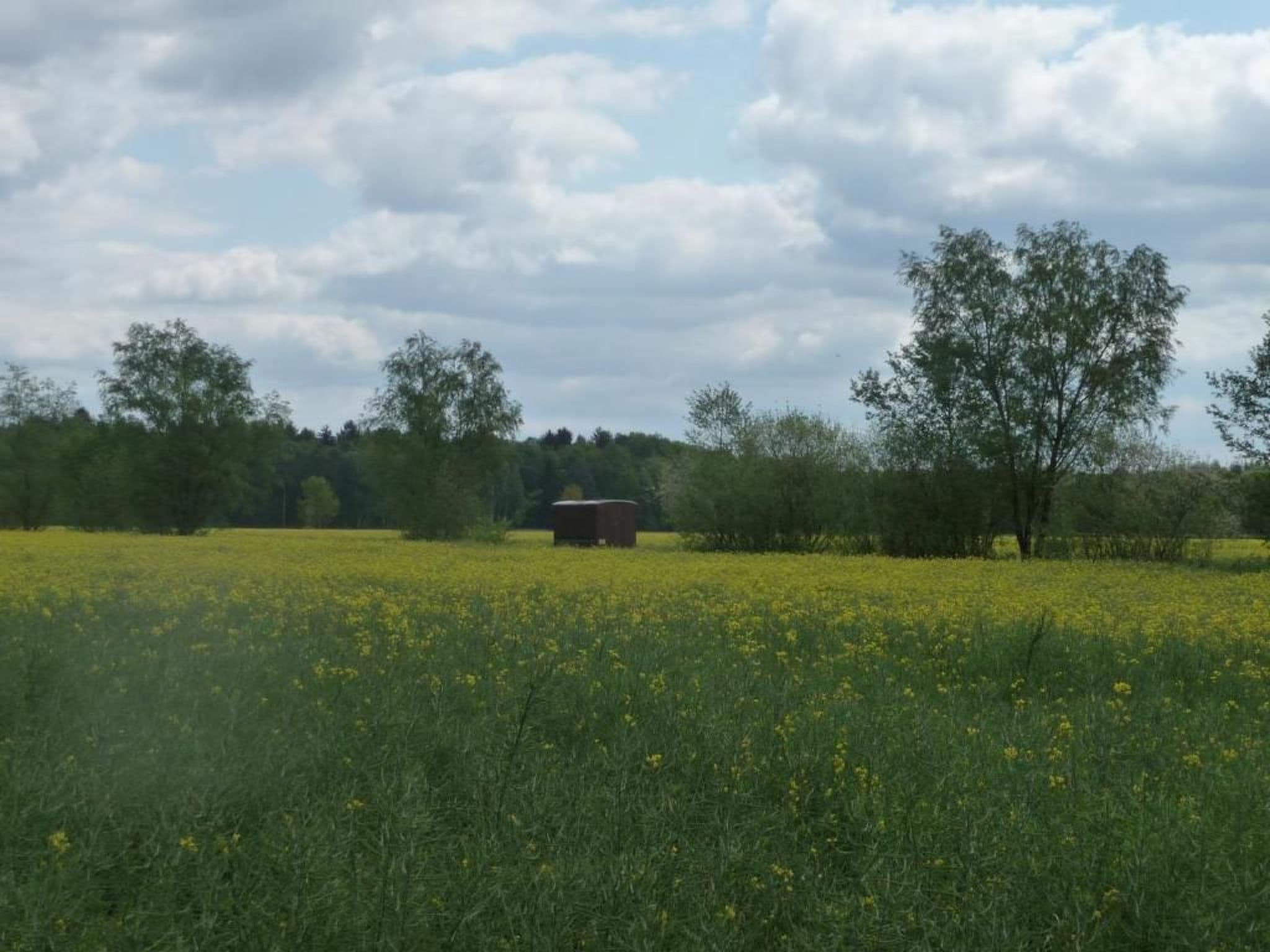 Gallery Image 17