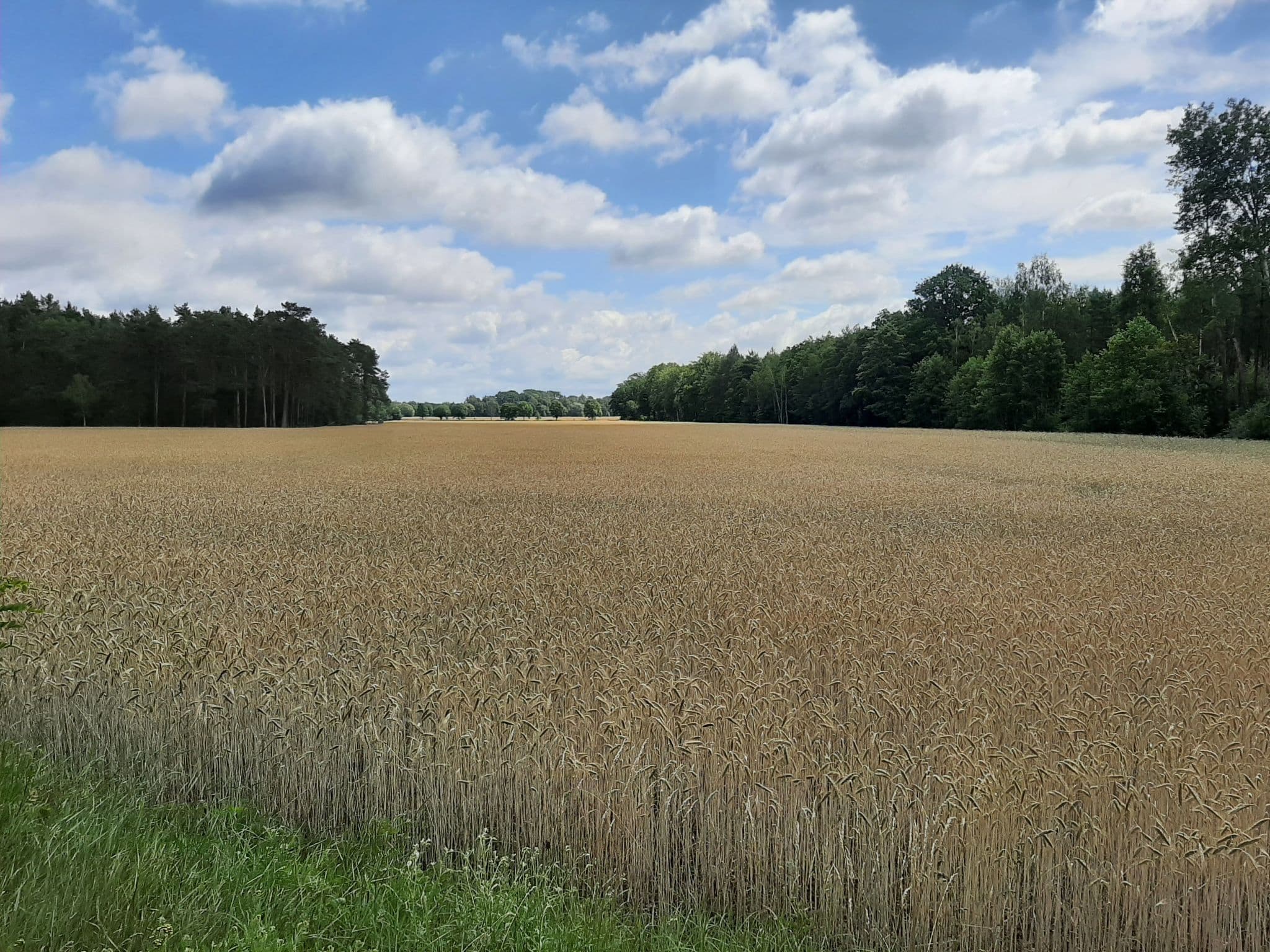 Gallery Image 25