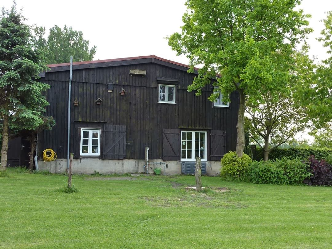 Large Image