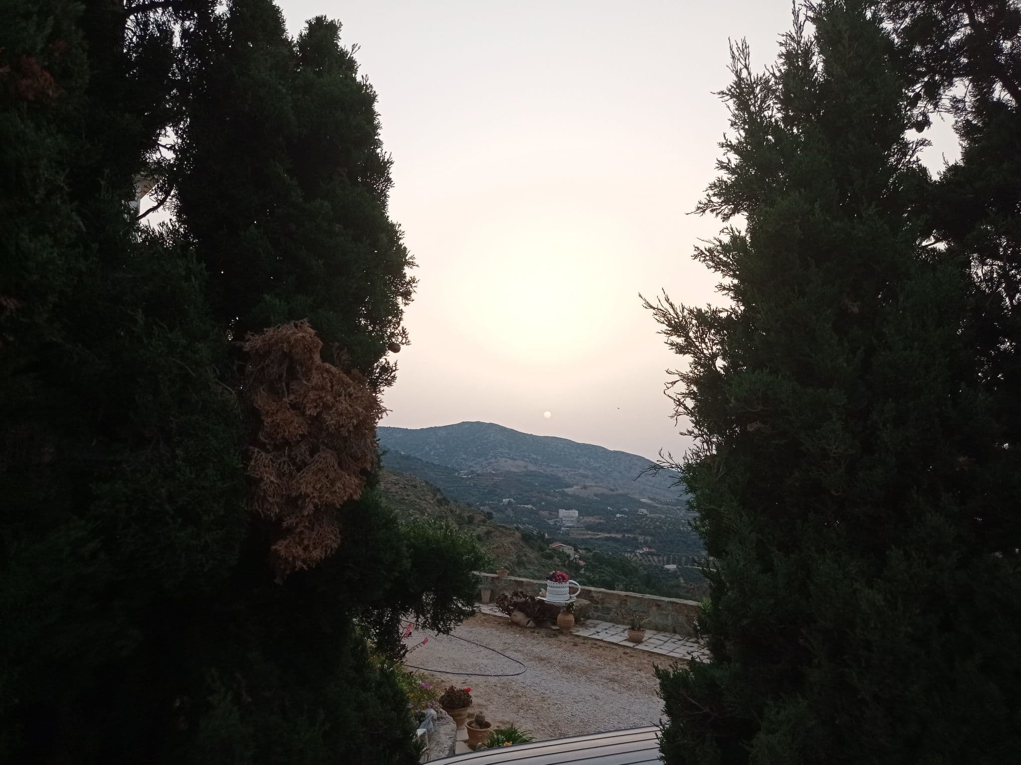 Gallery Image 55