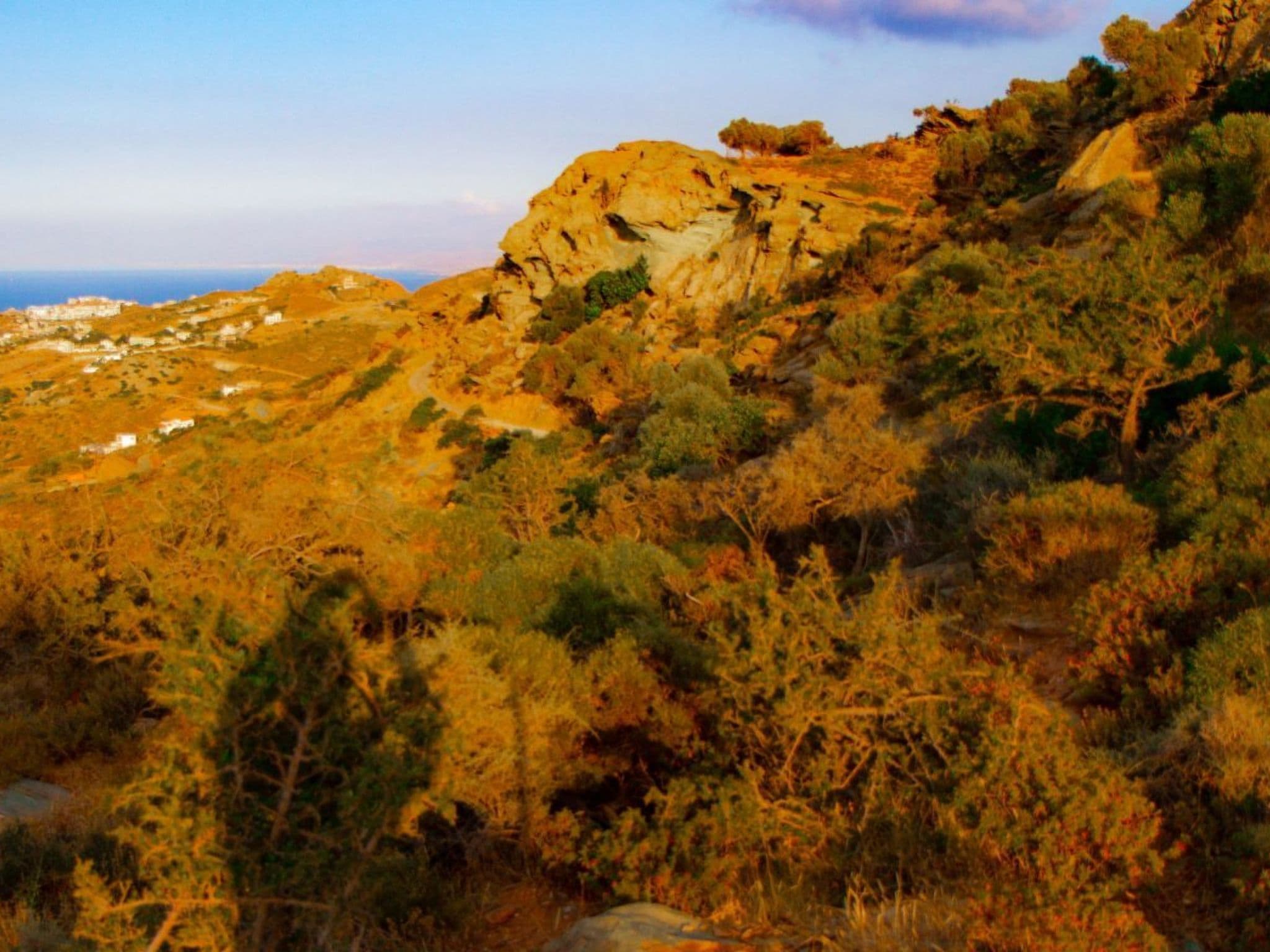 View