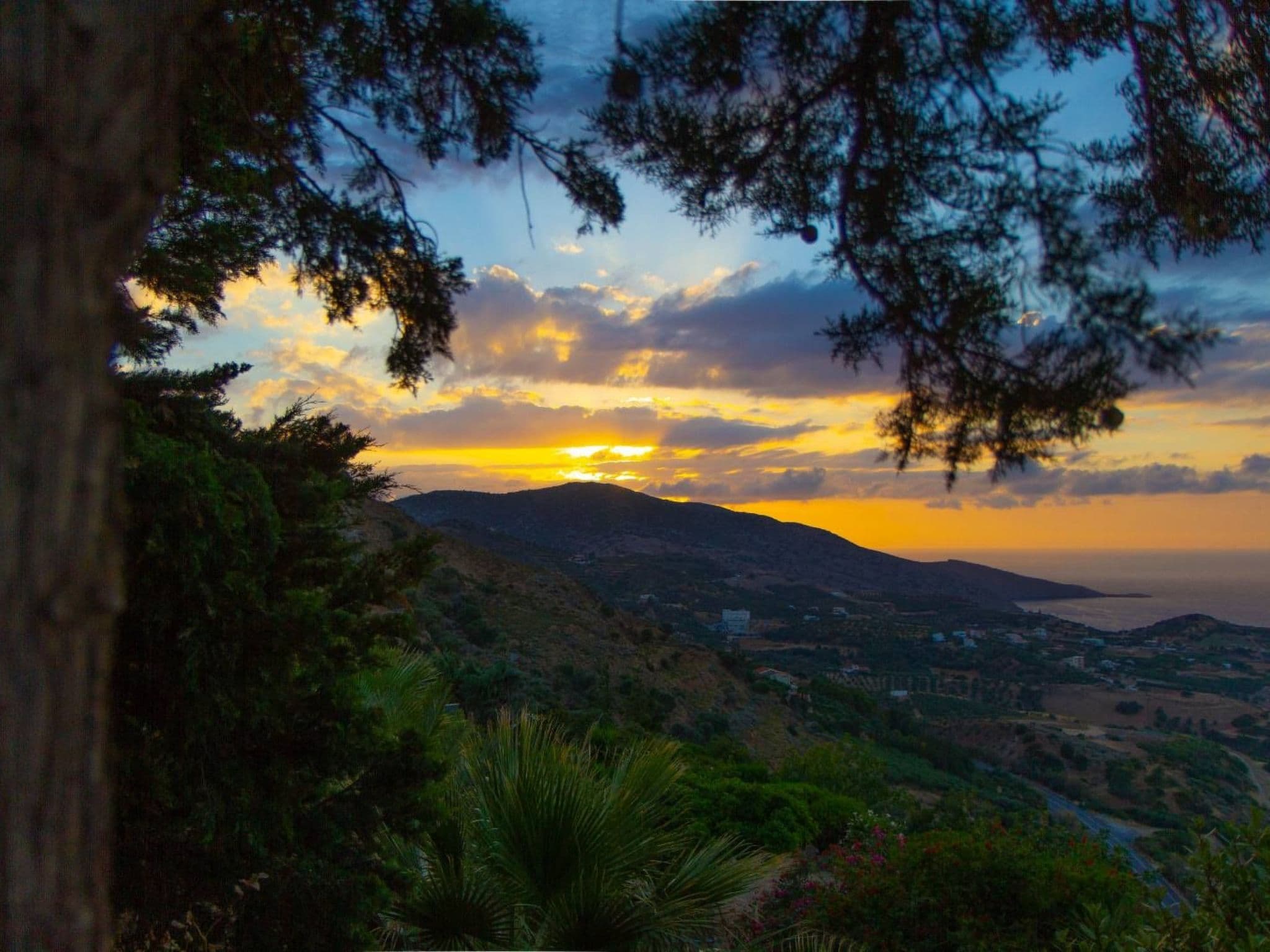 View