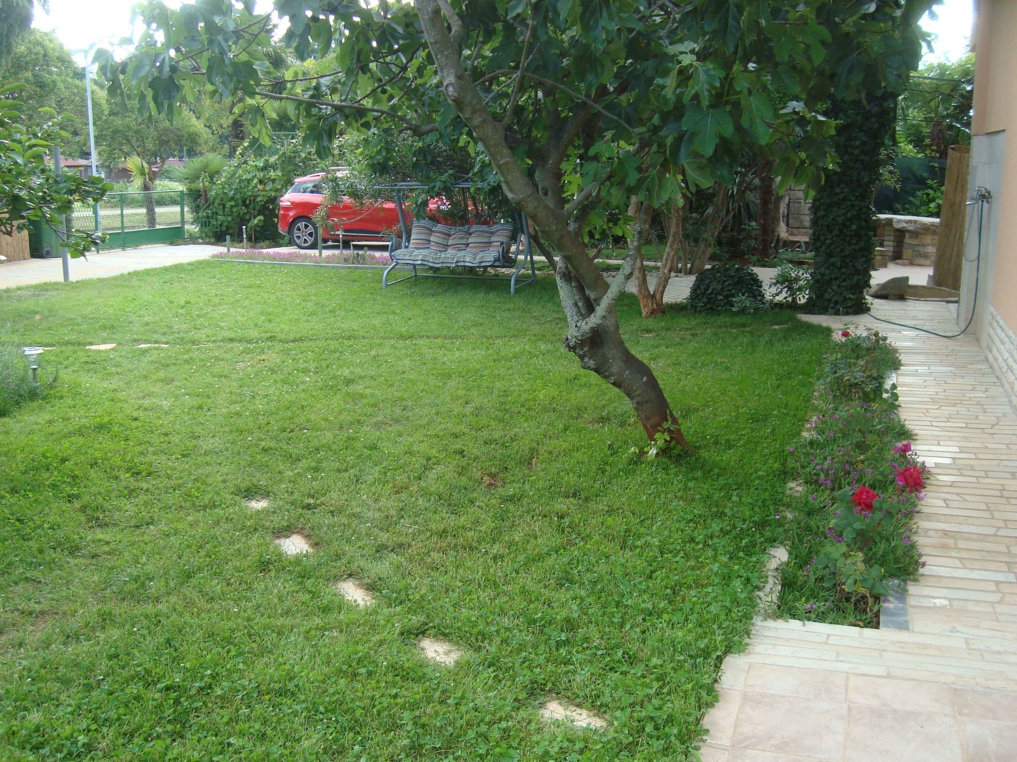 Gallery Image 13
