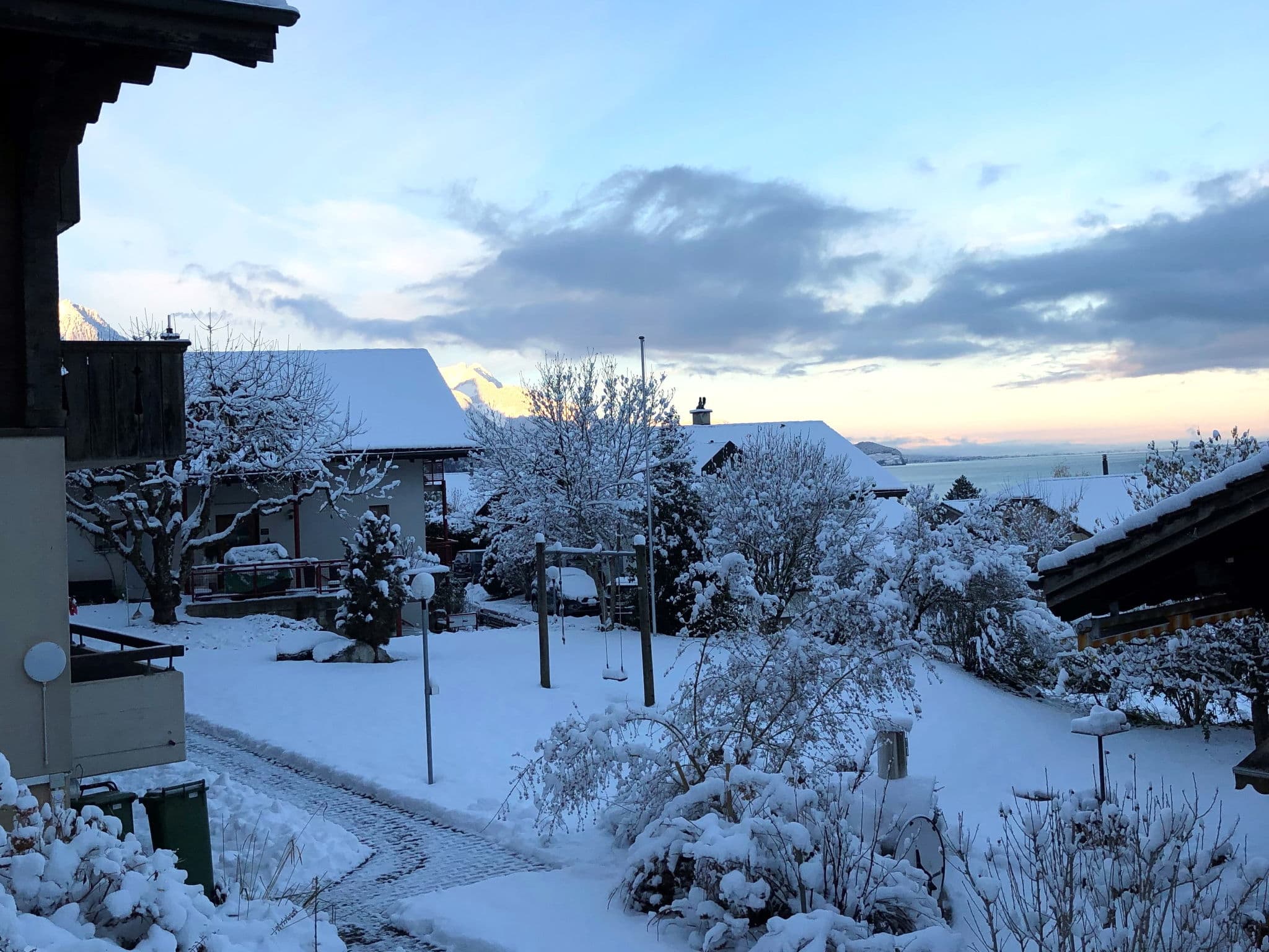 View