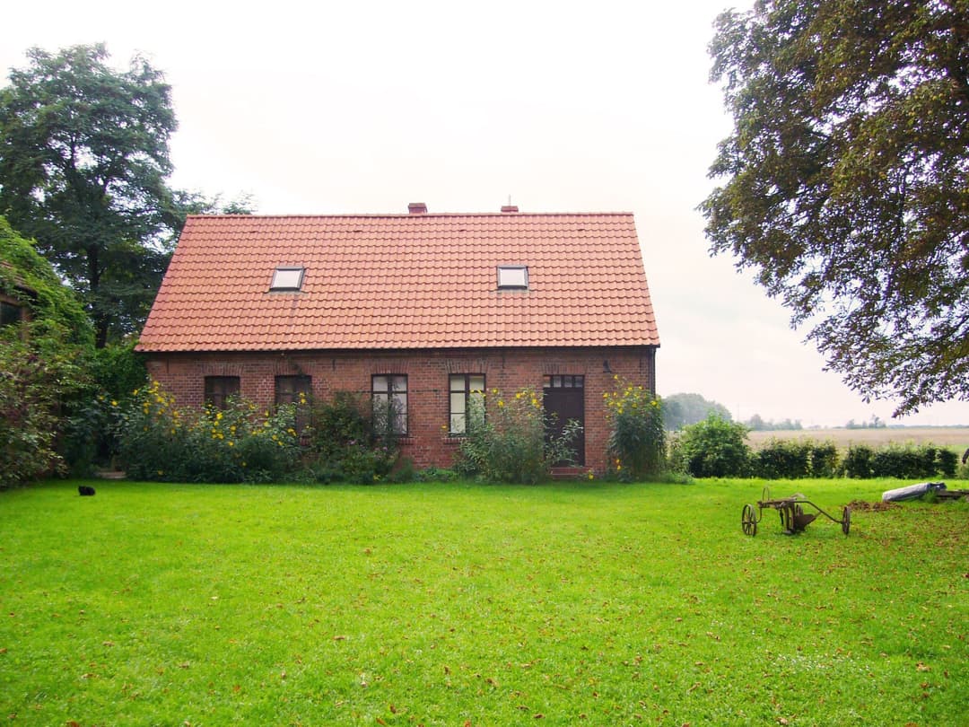 Large Image