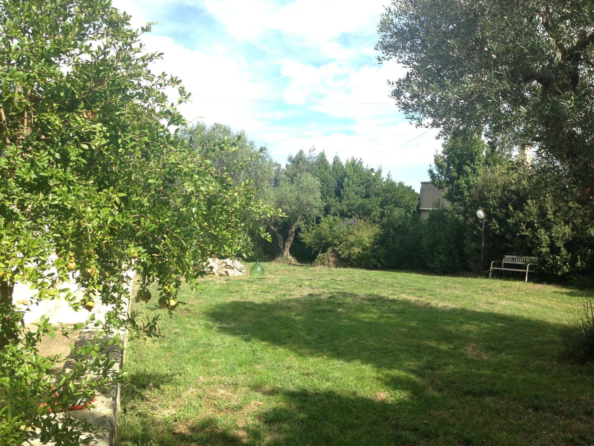 Gallery Image 16