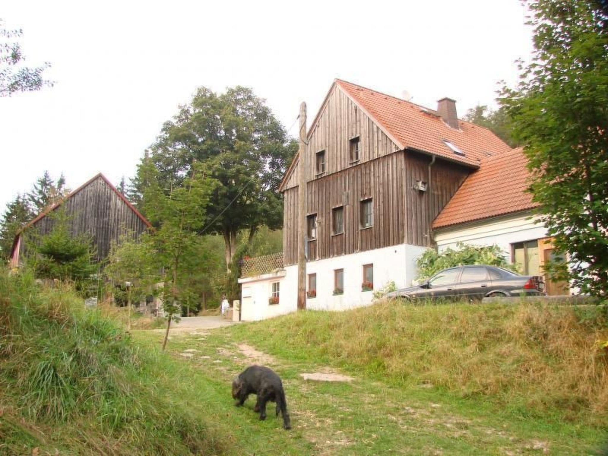 Gallery Image 27
