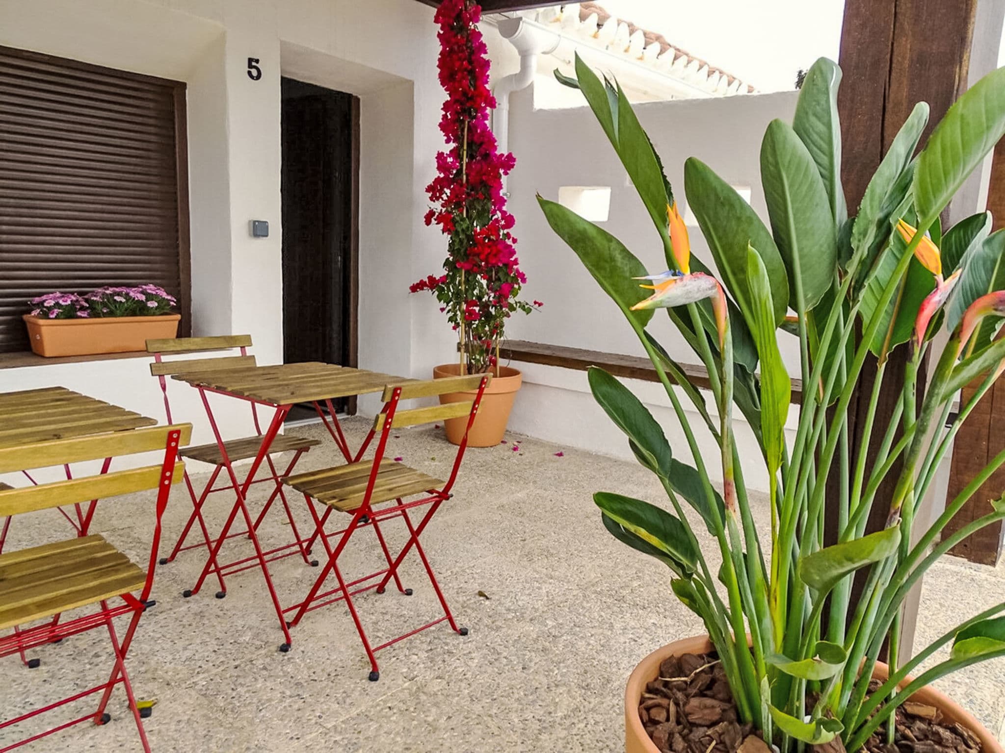 Terrace