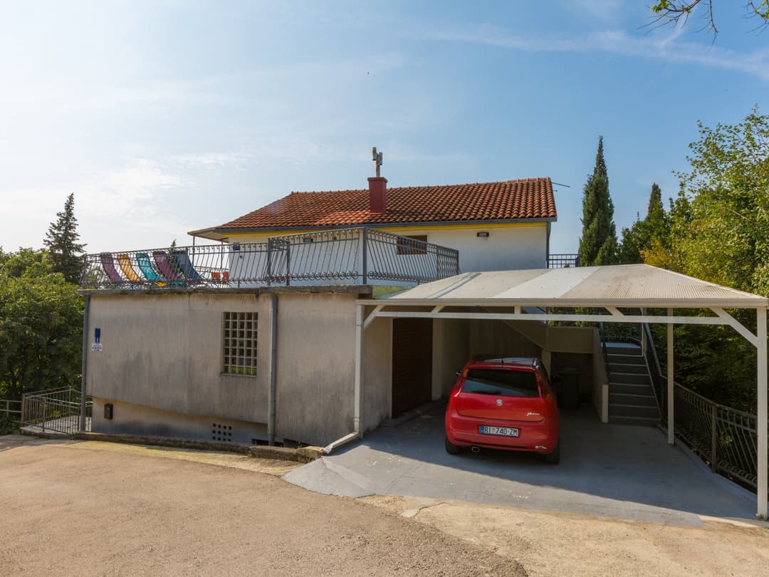 Large Image