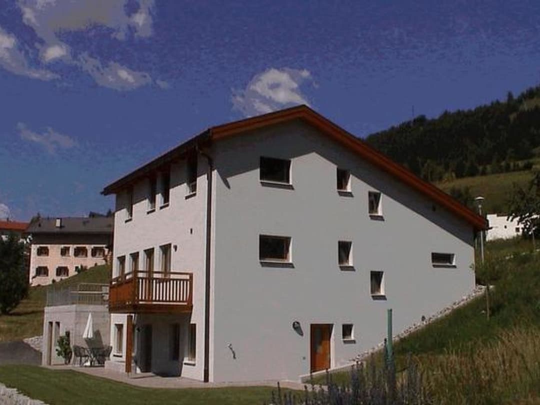 Large Image