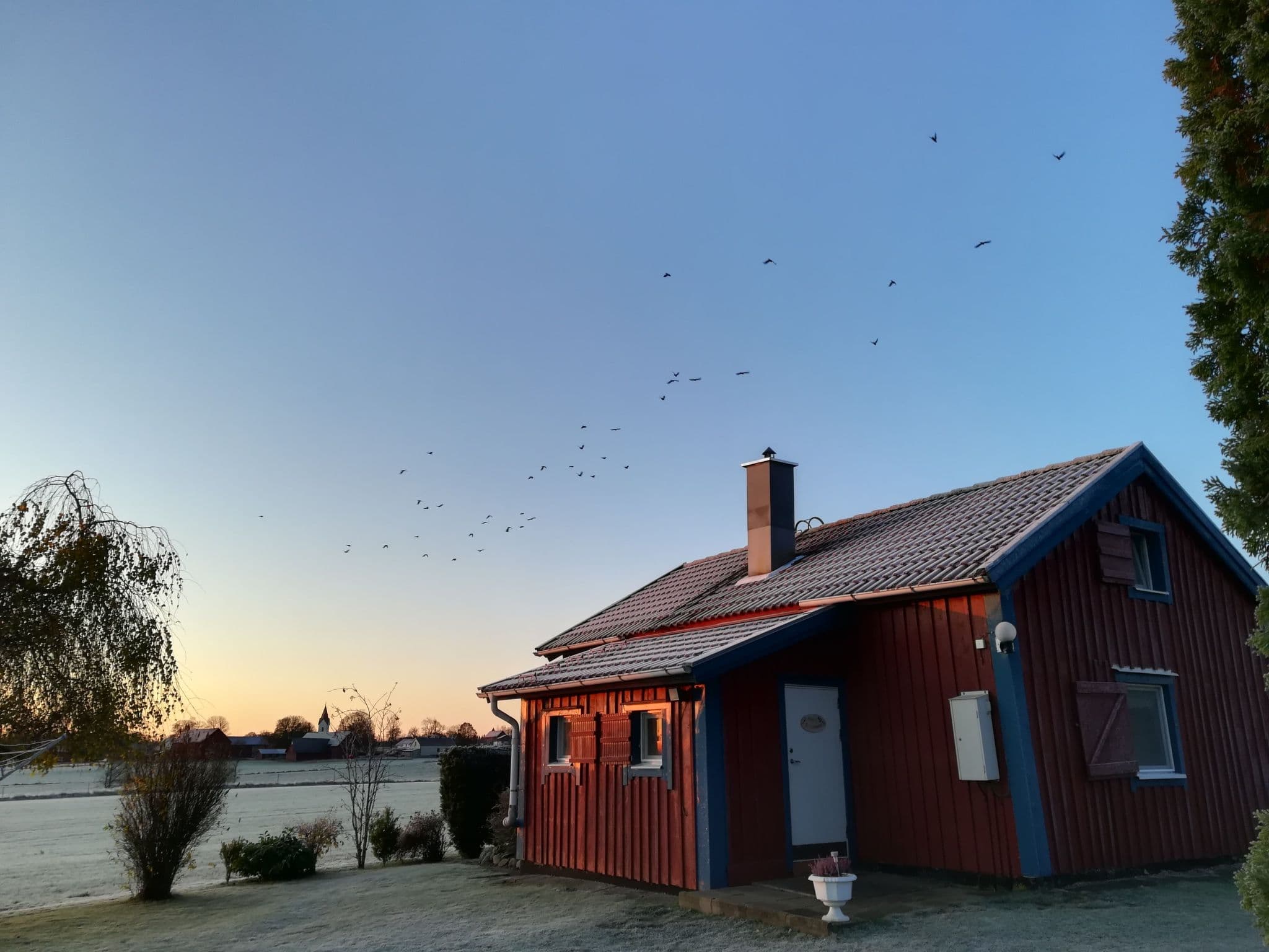 House