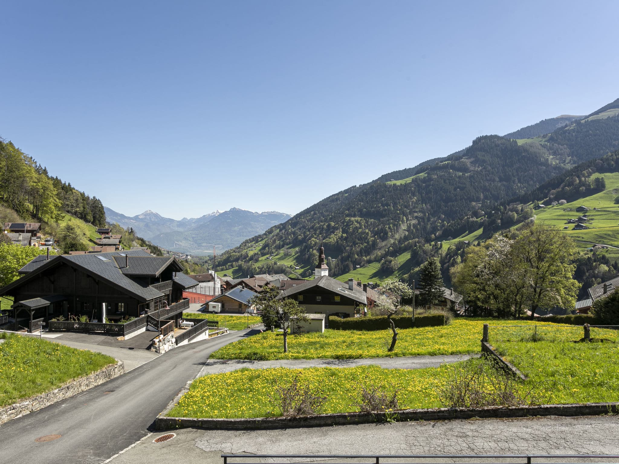 View