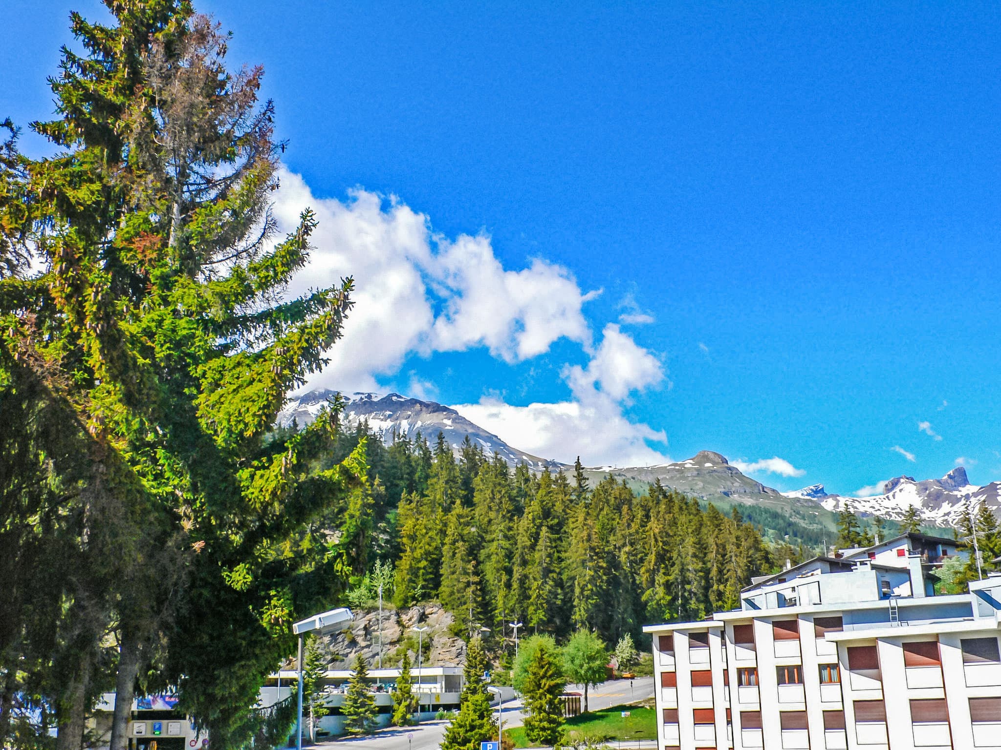 View