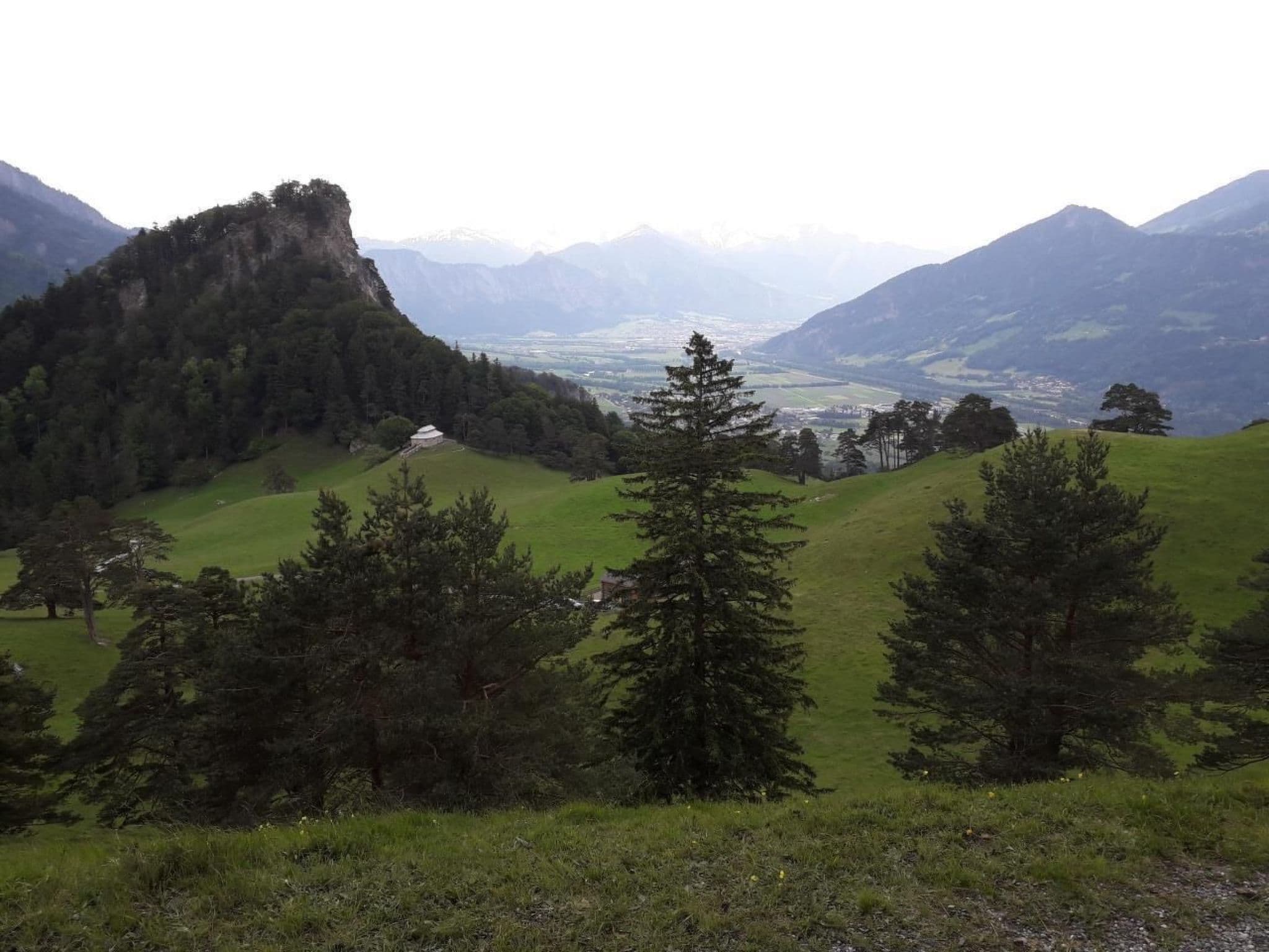View
