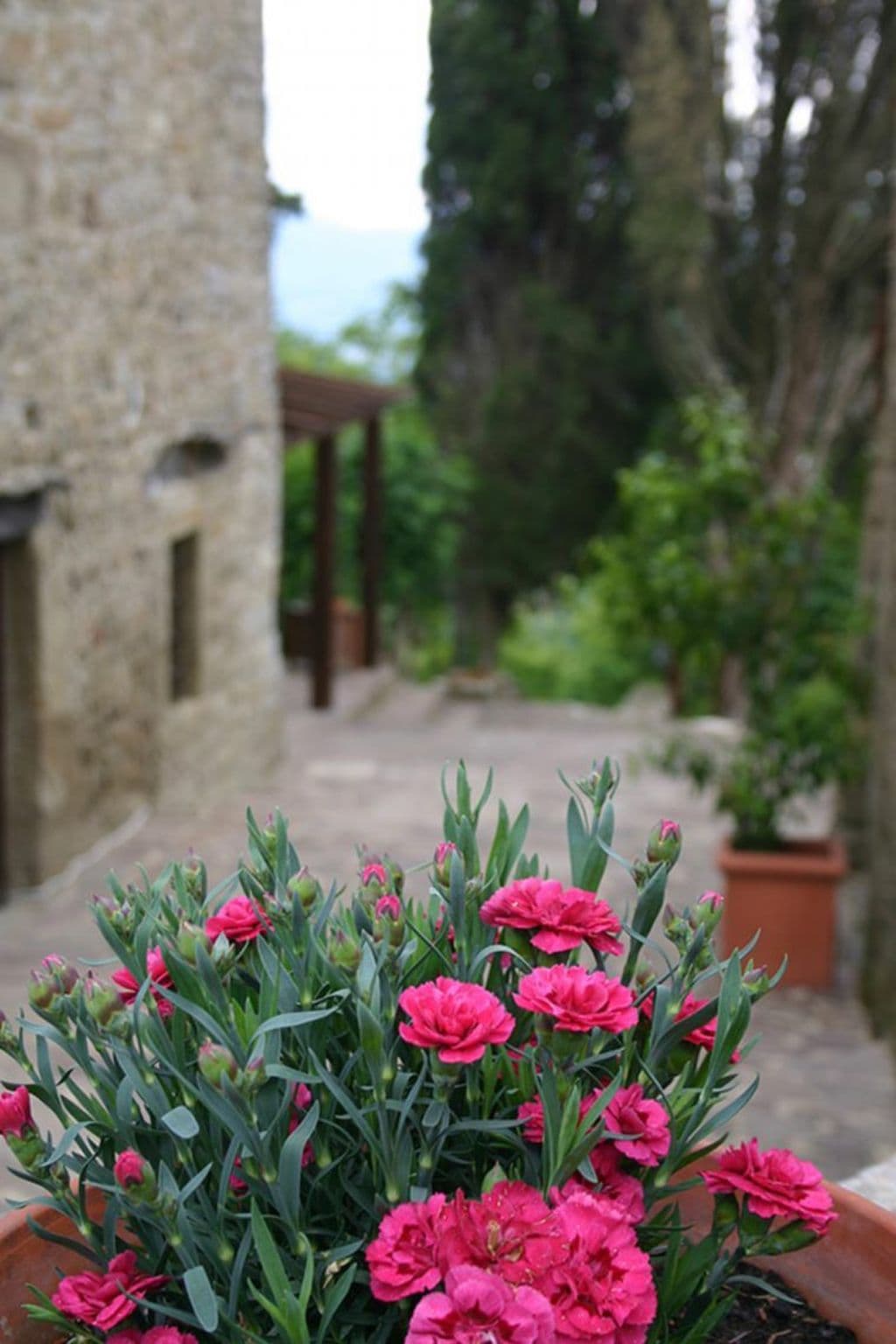 Gallery Image 11
