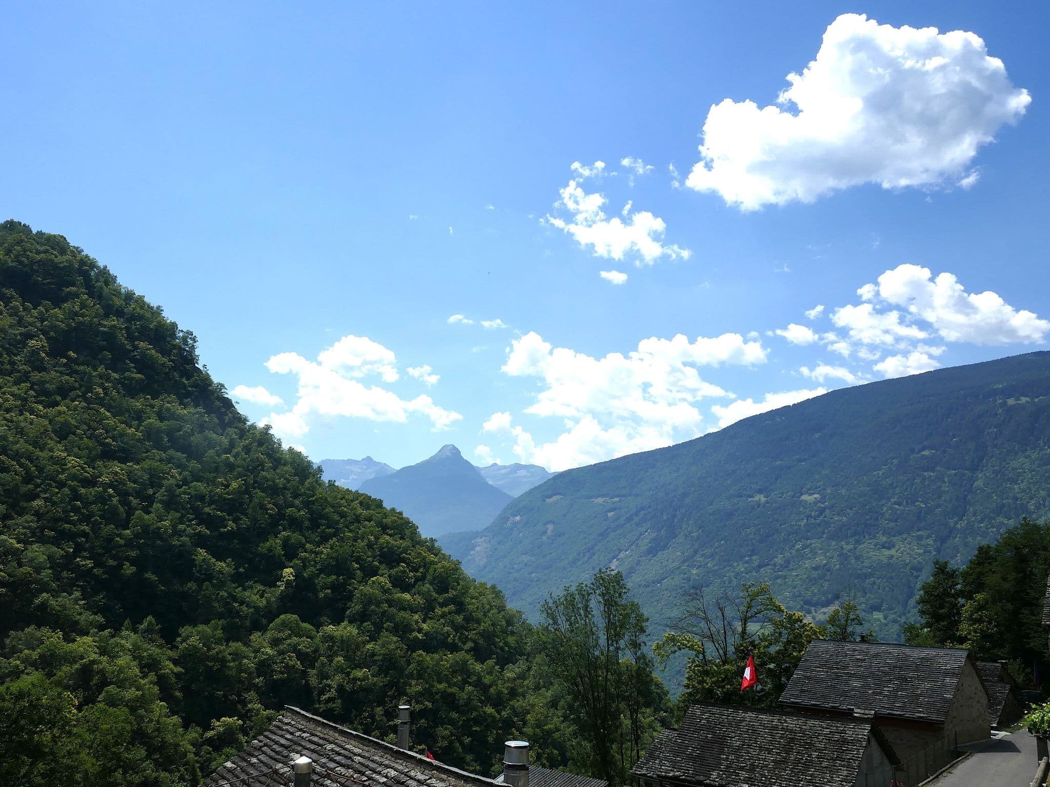 View