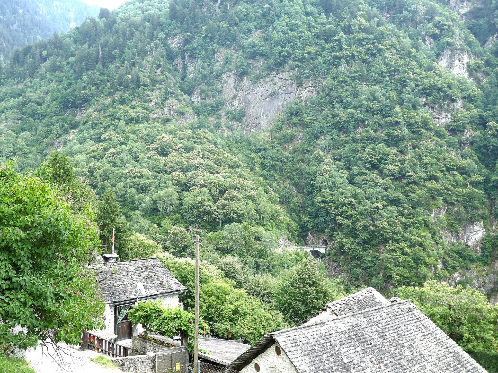 View