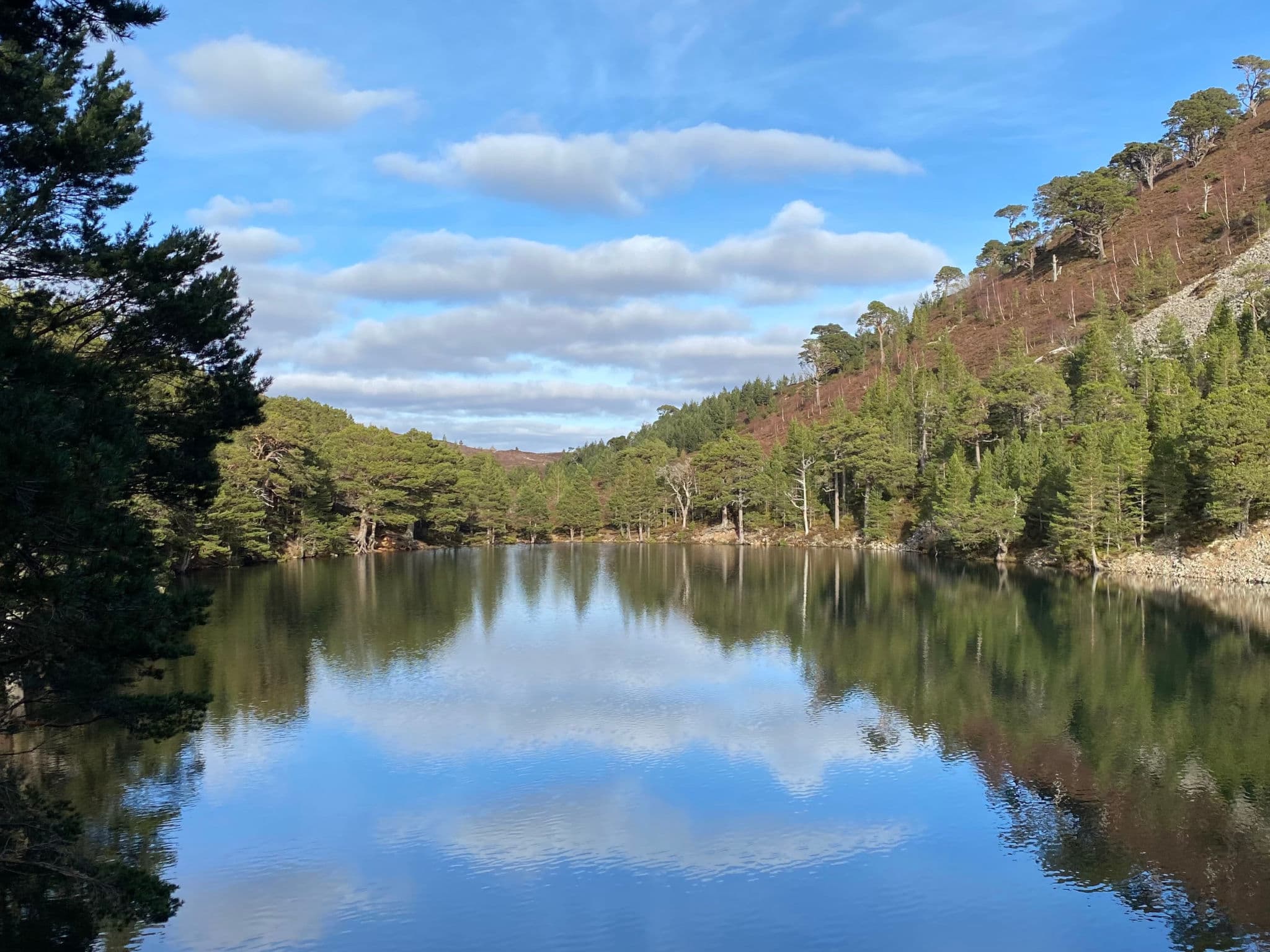 Place