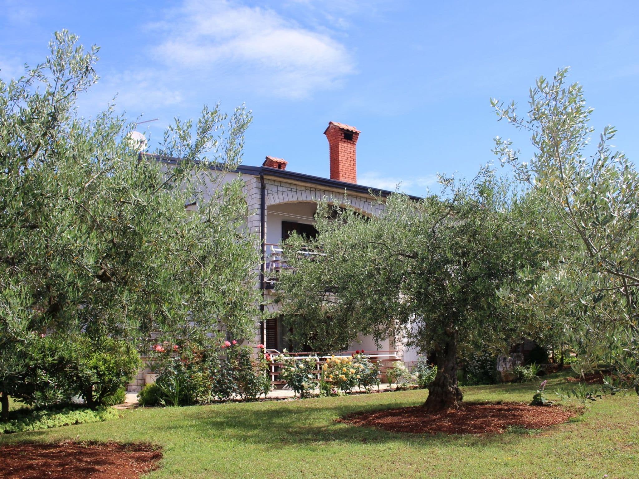 Gallery Image 18