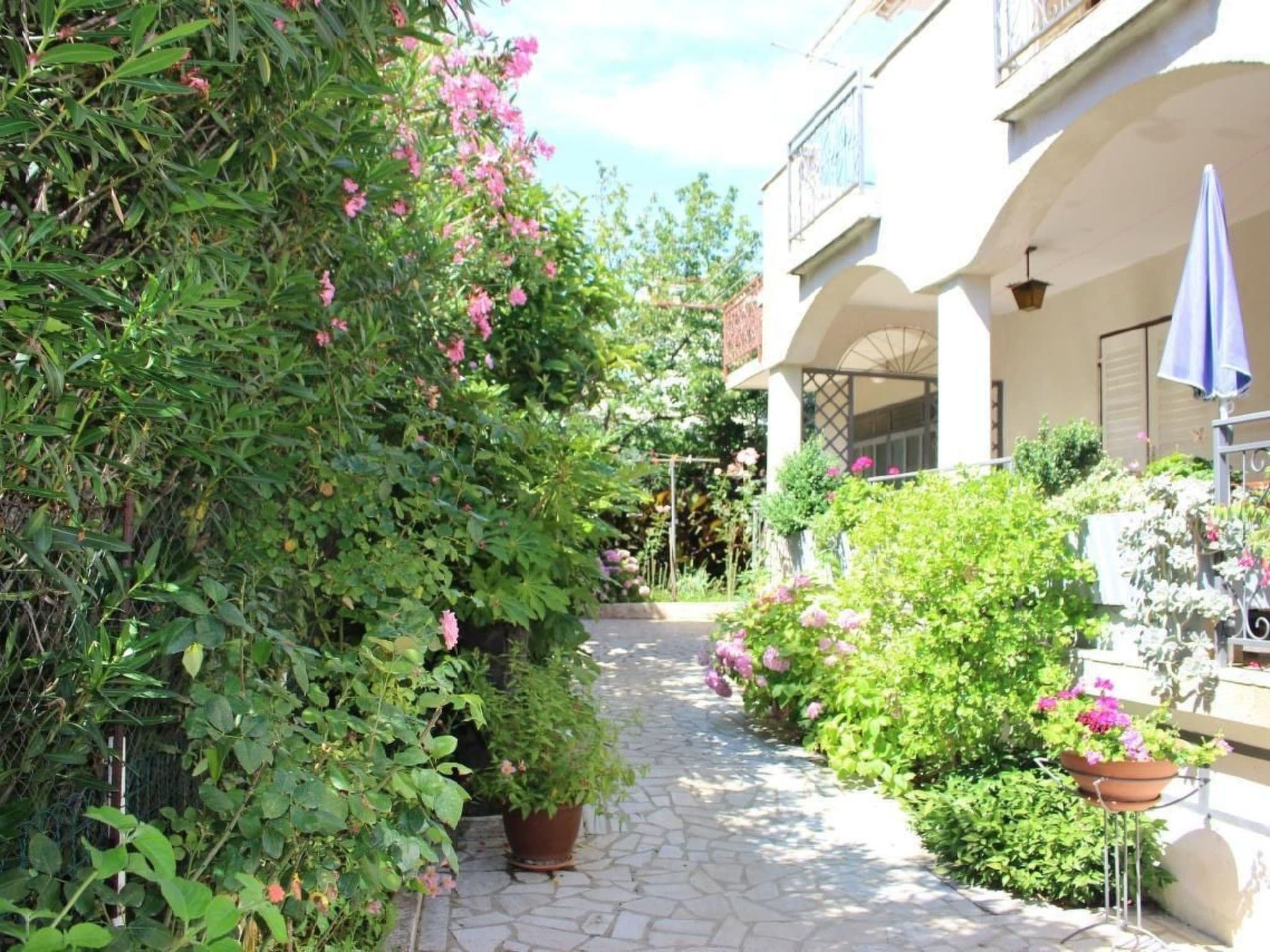 Gallery Image 21