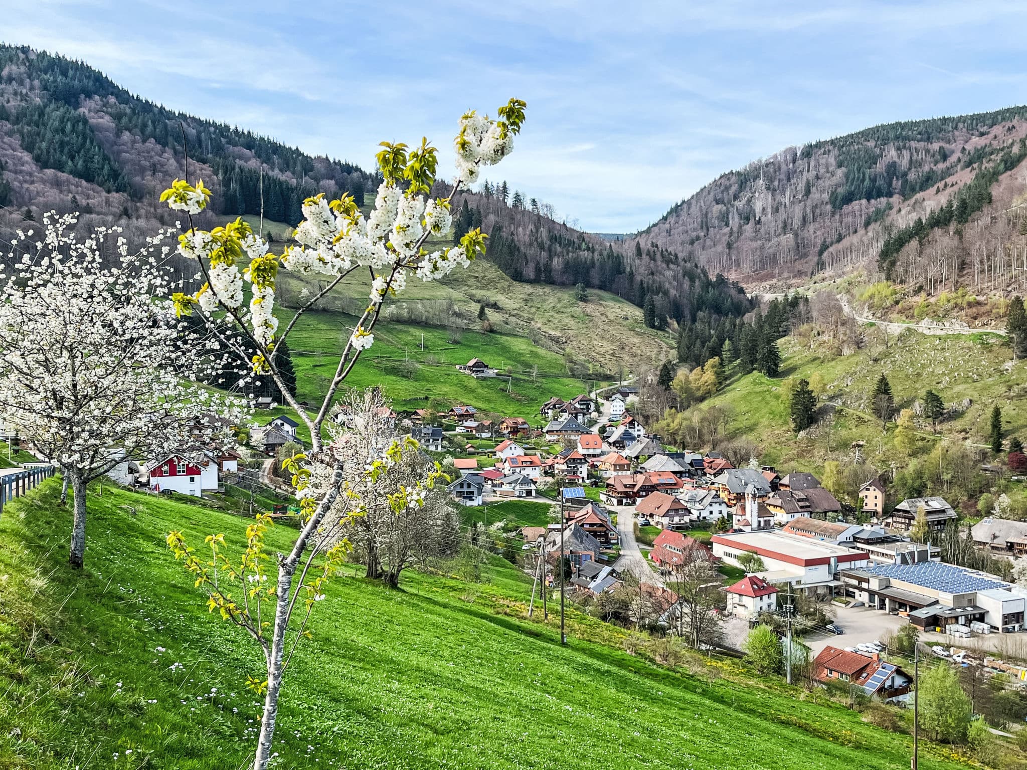 Place