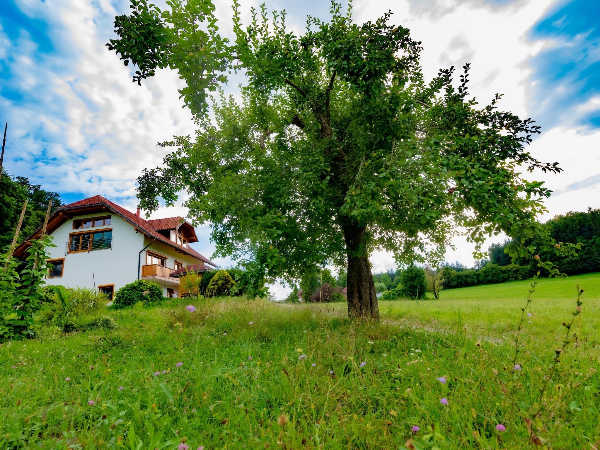 House