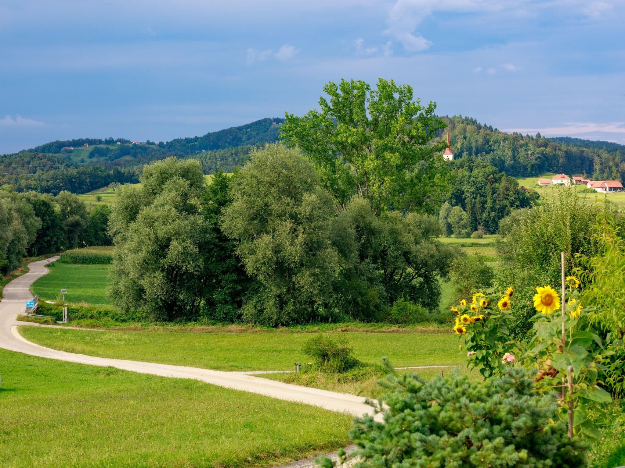 View