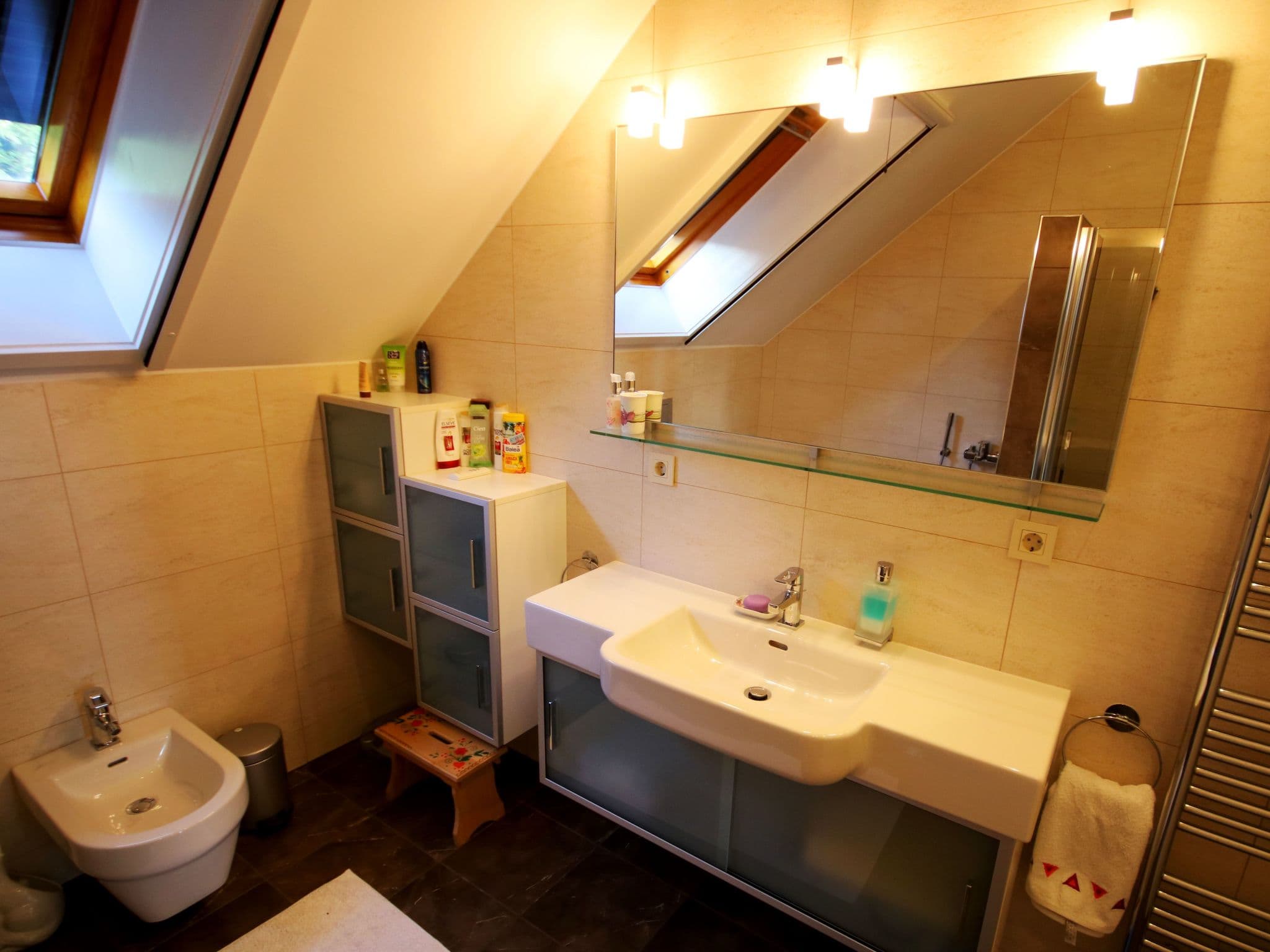 Bathroom / Wellness