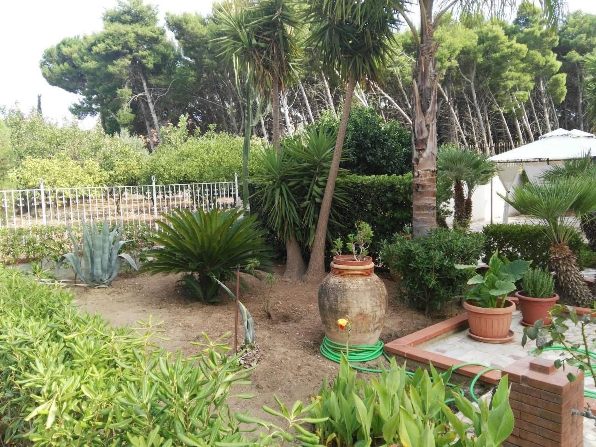 Gallery Image 13