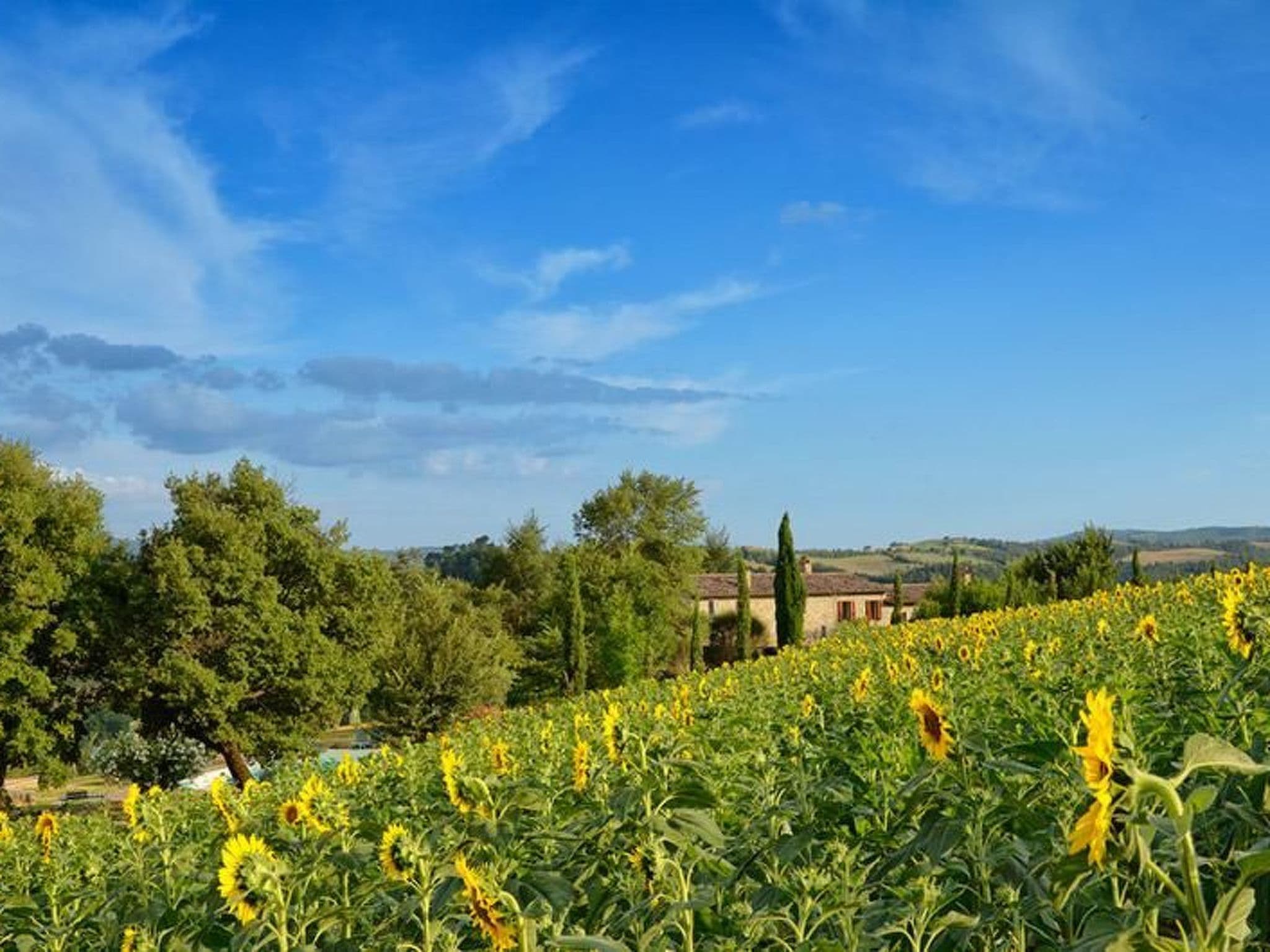 Gallery Image 58