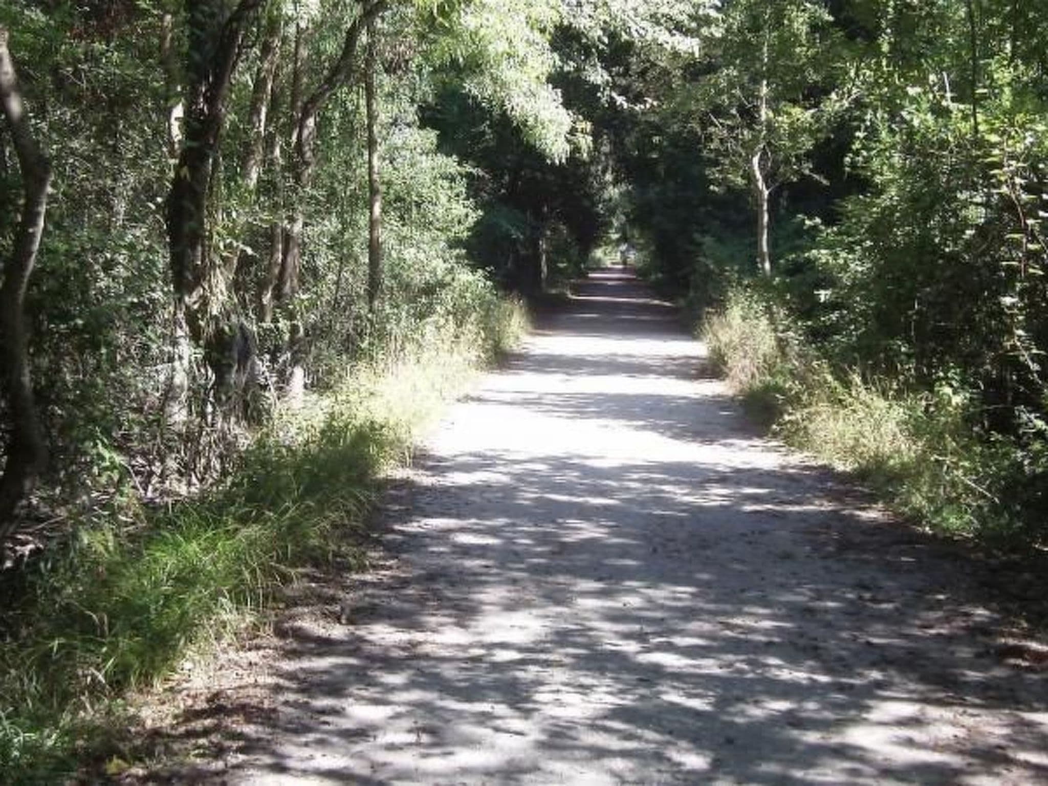 Gallery Image 19