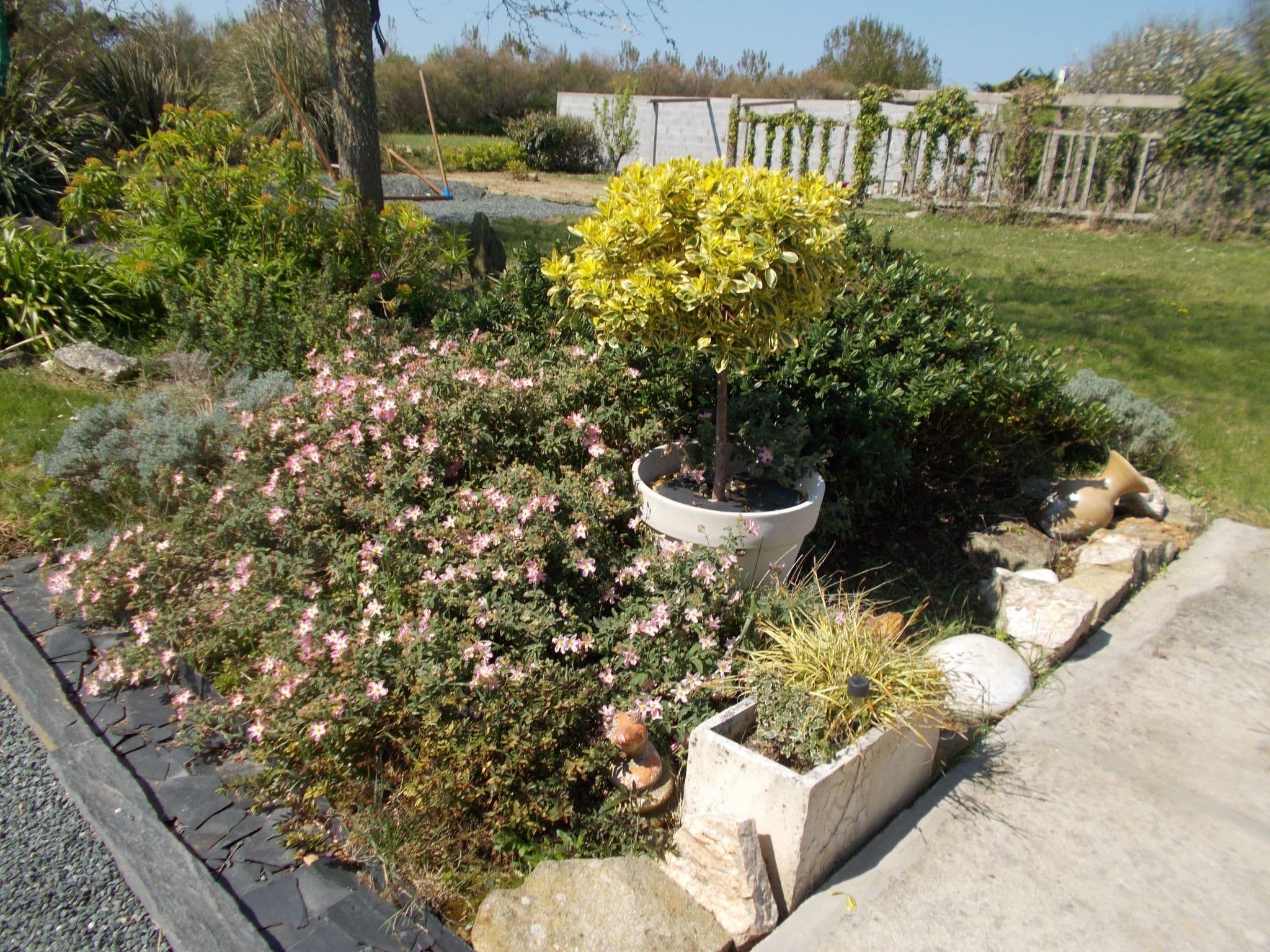 Gallery Image 31