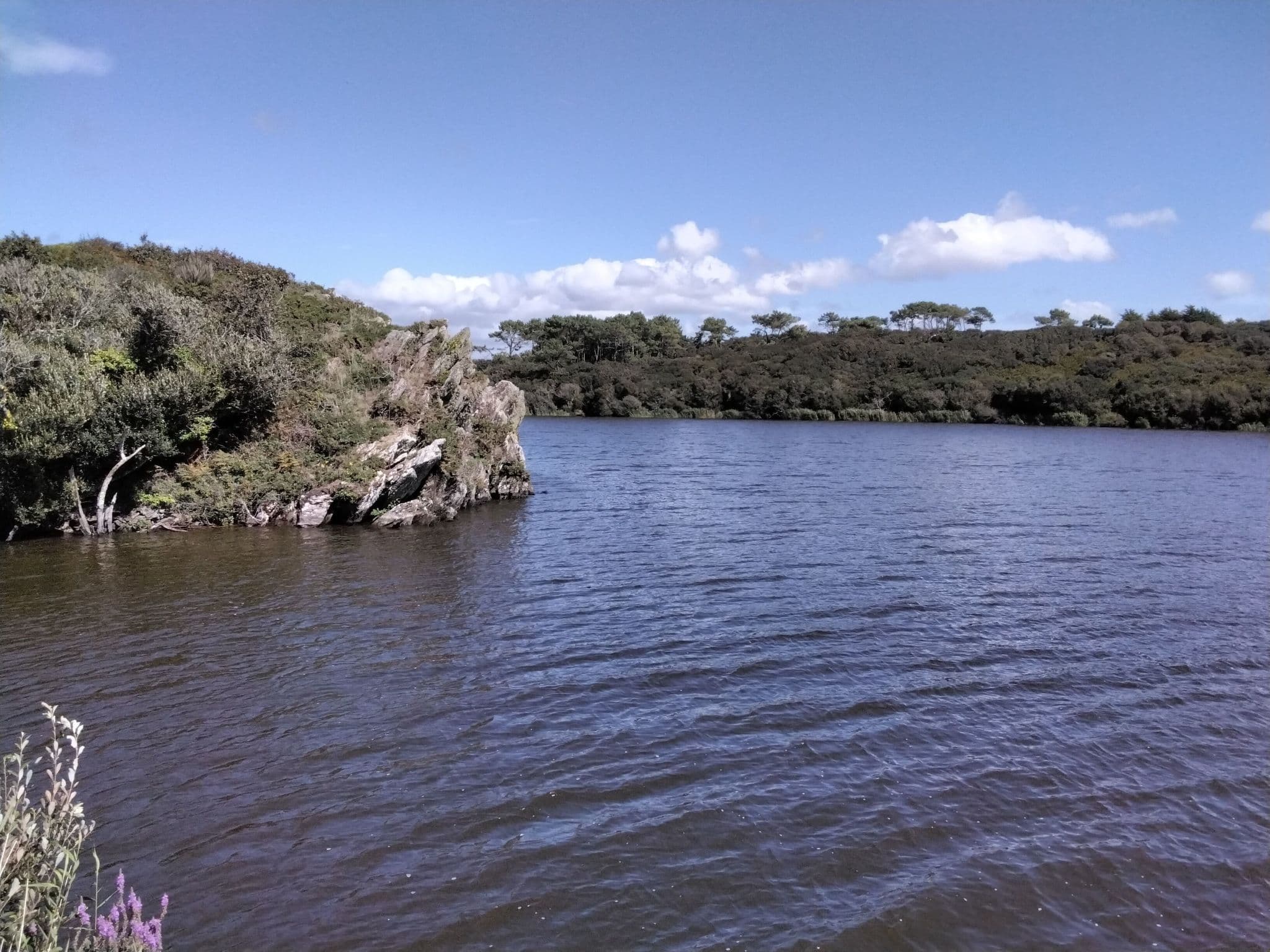 Gallery Image 38