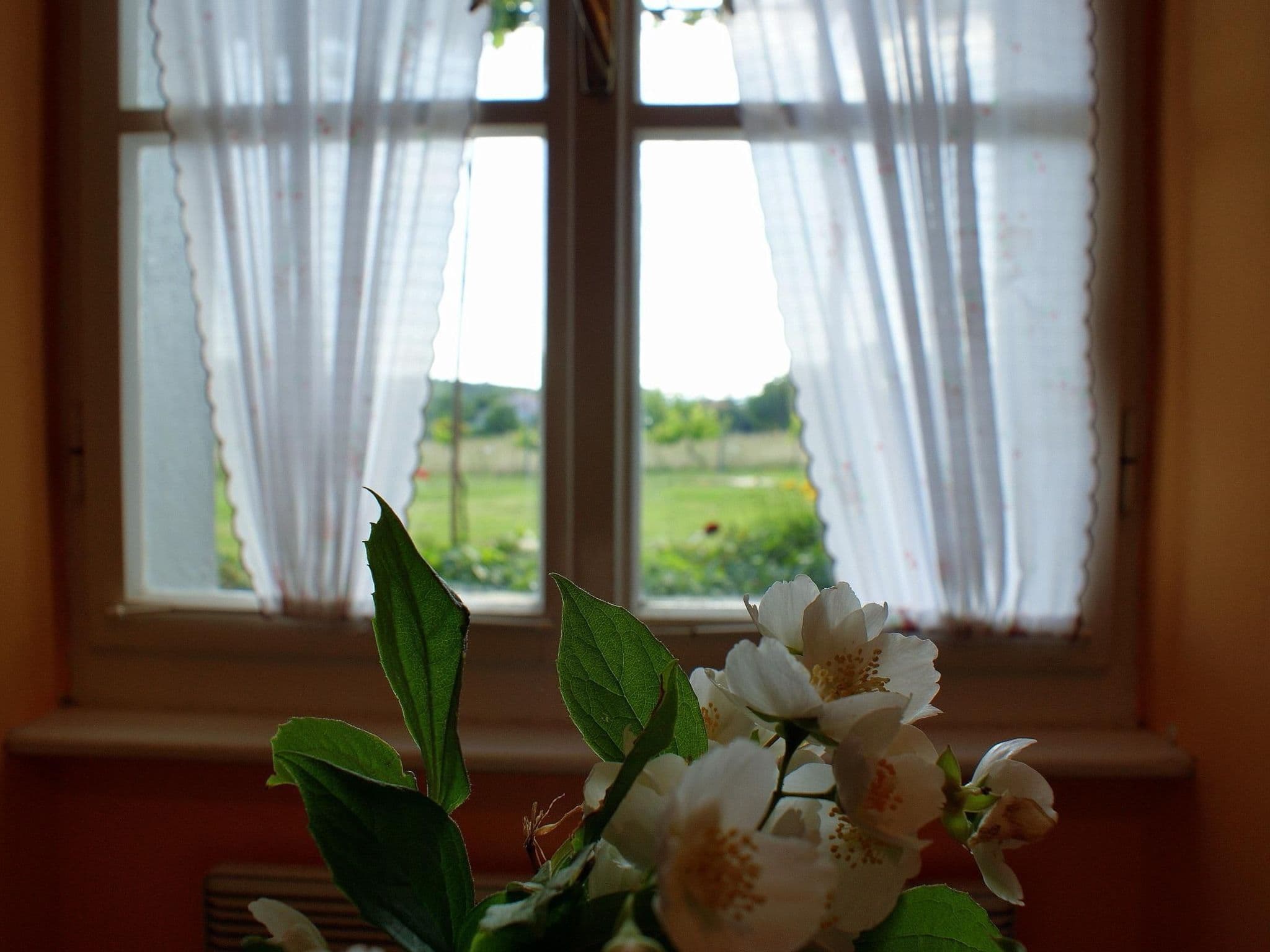 Inside other
