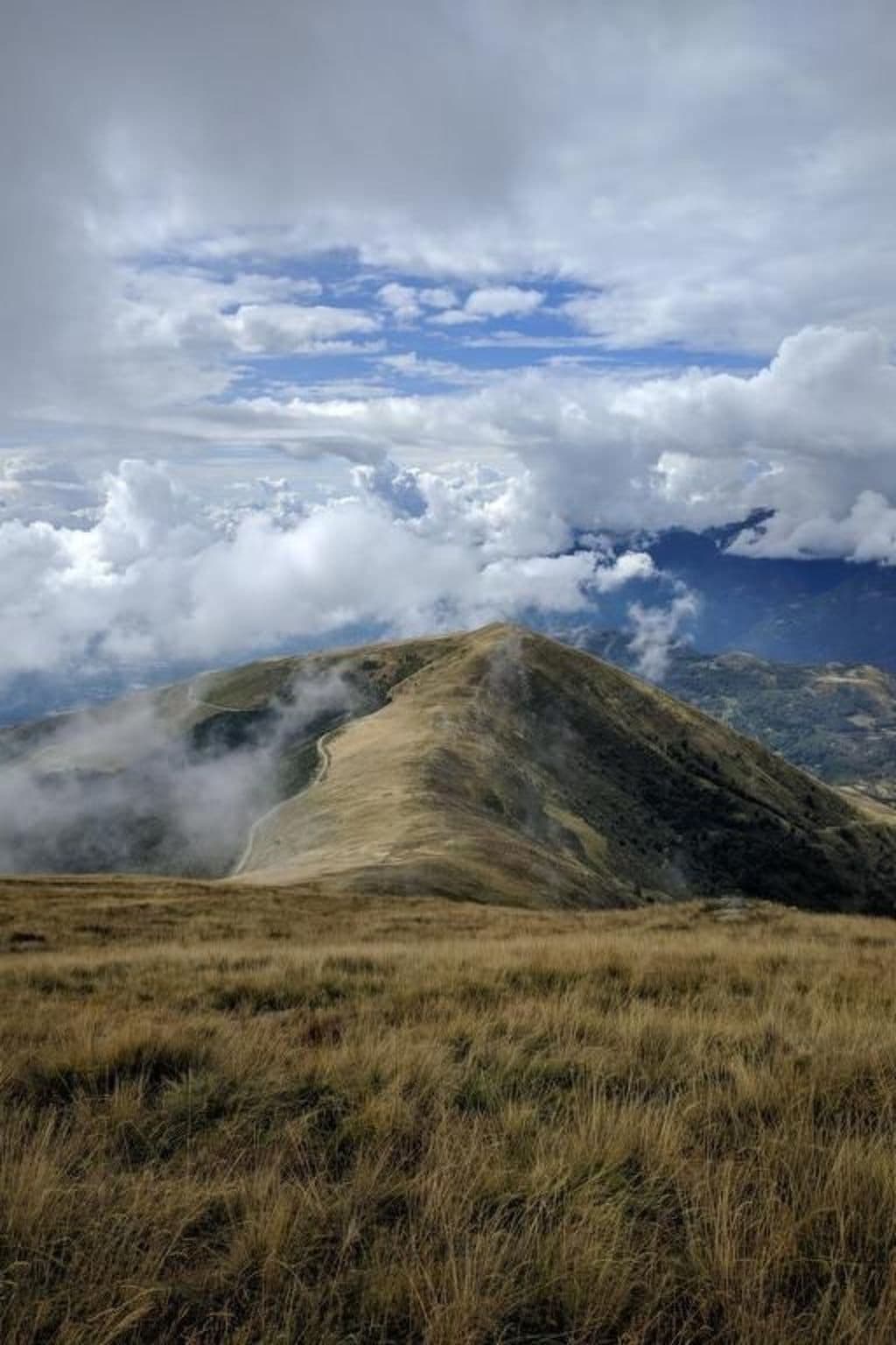 View