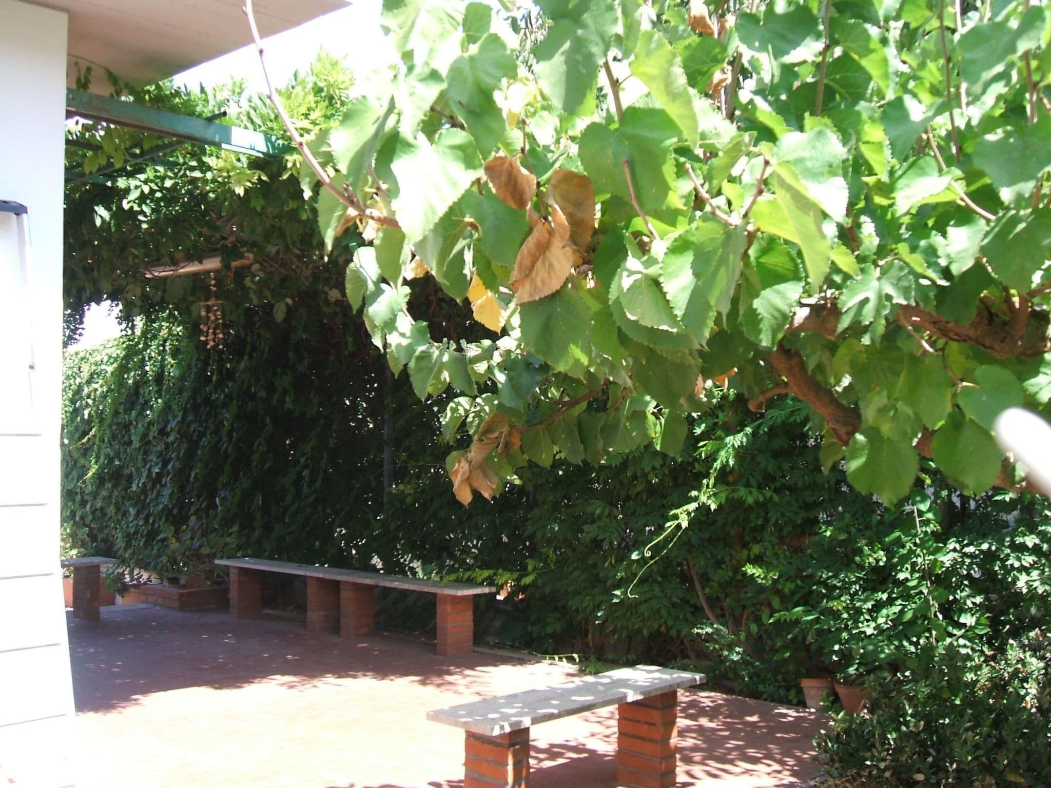 Gallery Image 8