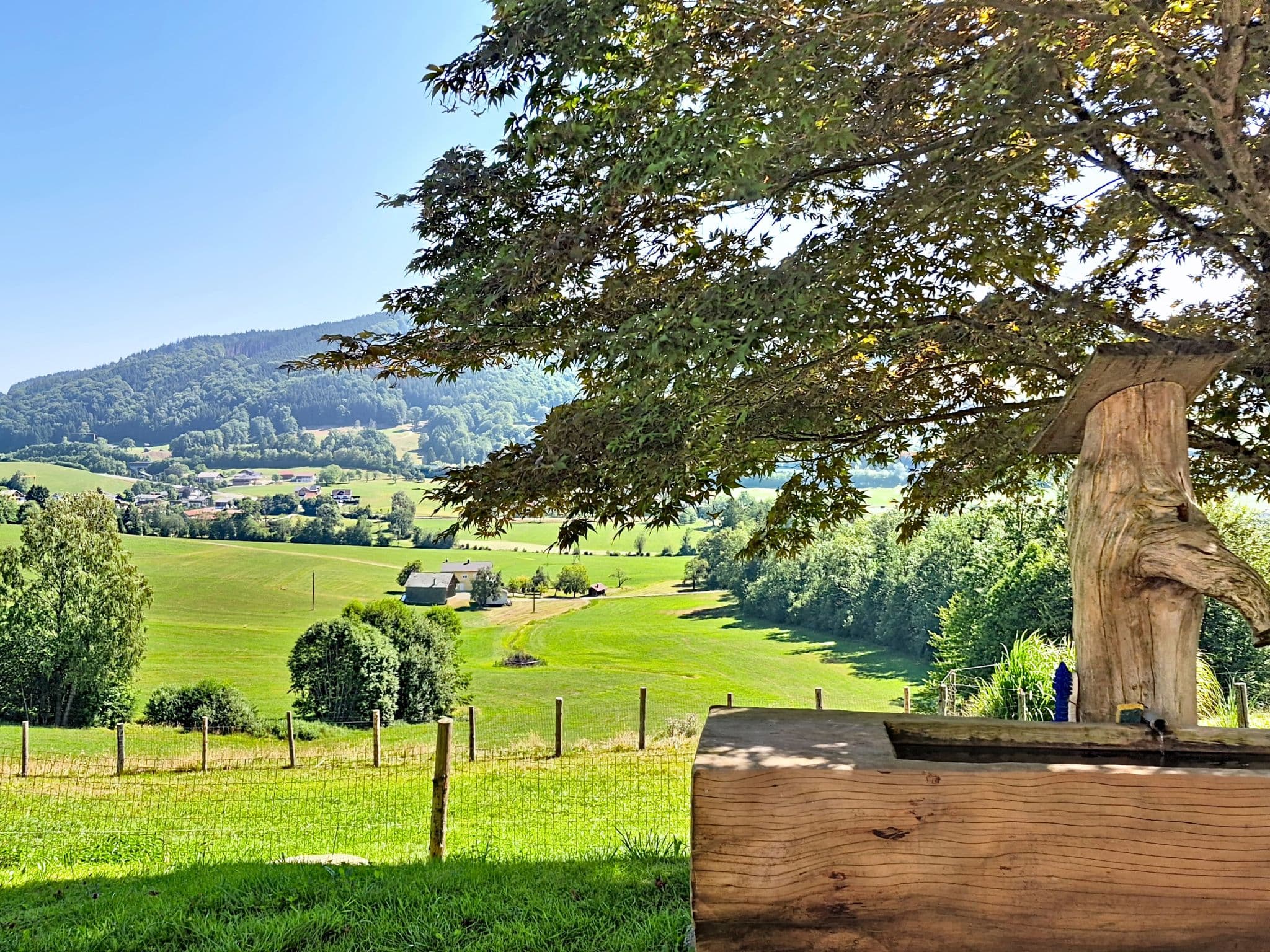 View