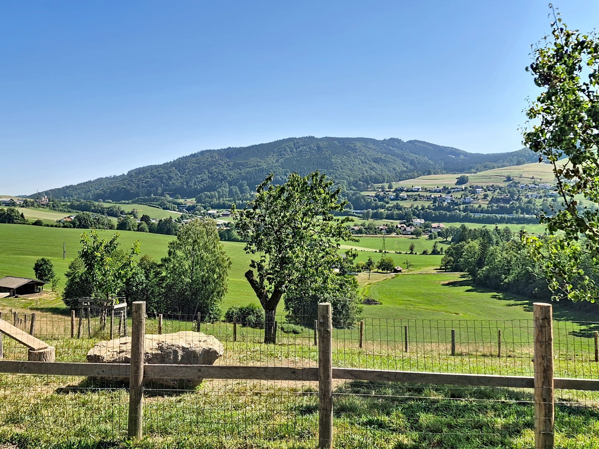 View
